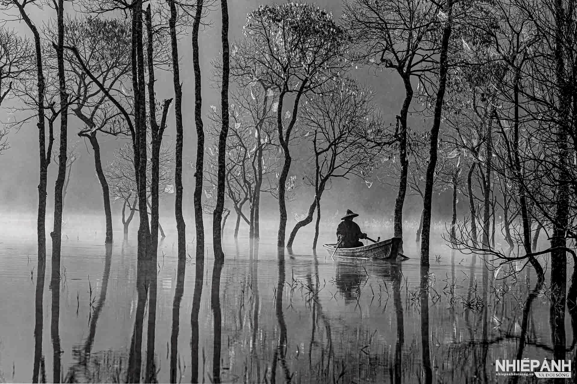 W_32-vn25-mono-acc-mua-cay-thay-la-pham-quoc-thang-vietnam.jpg
