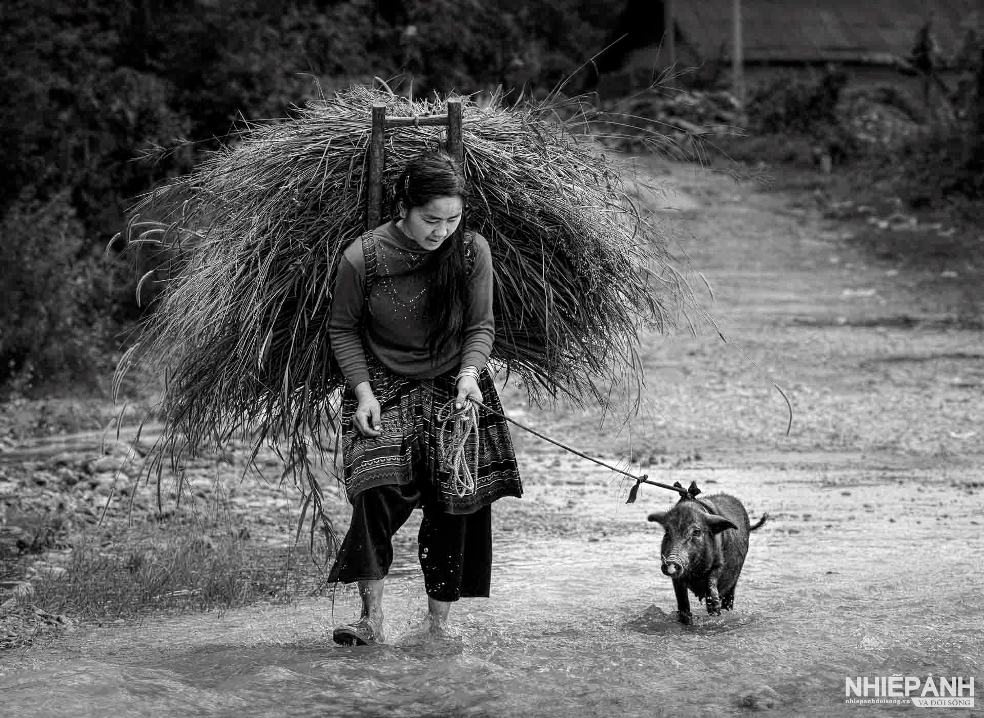W_37-vn25-mono-acc-cong-viec-hang-ngay-vu-ngoc-tuan-vietnam.jpg