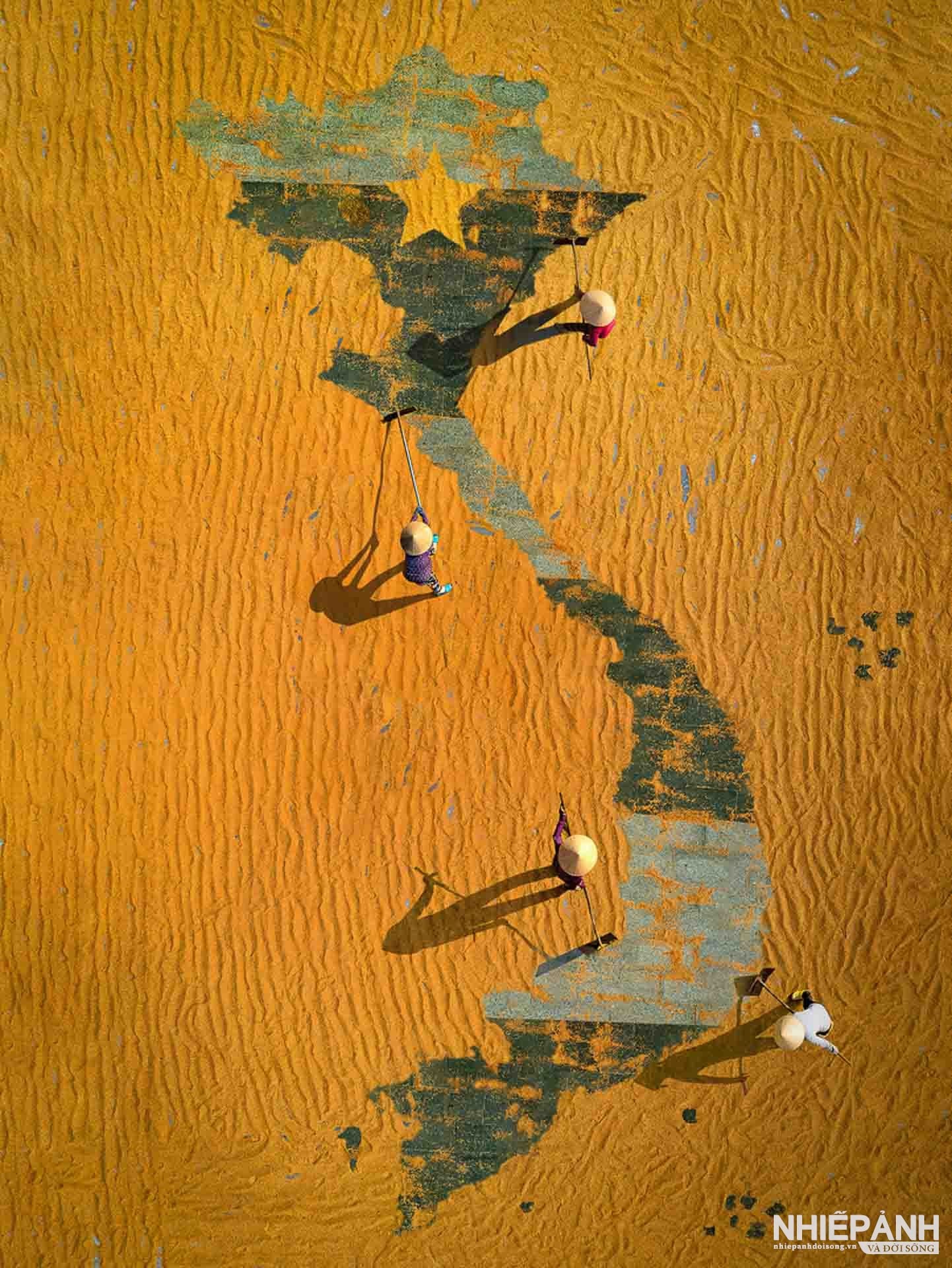 W_46-vn25-color-acceptance-vuon-tam-hat-ngoc-viet-nguyen-hien-thanh-vietnam(1).jpg