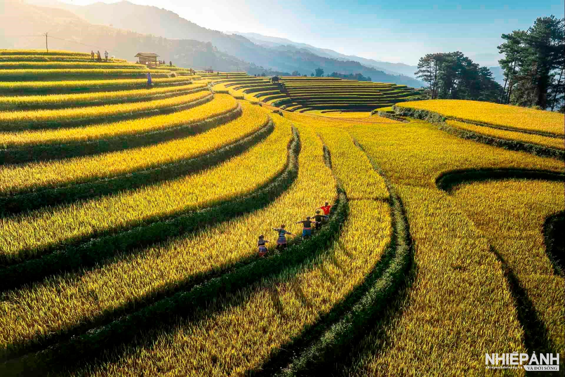 W_55-vn25-worldinfocus-acc-vu-dieu-mua-vang-trinh-dung-vietnam.jpg