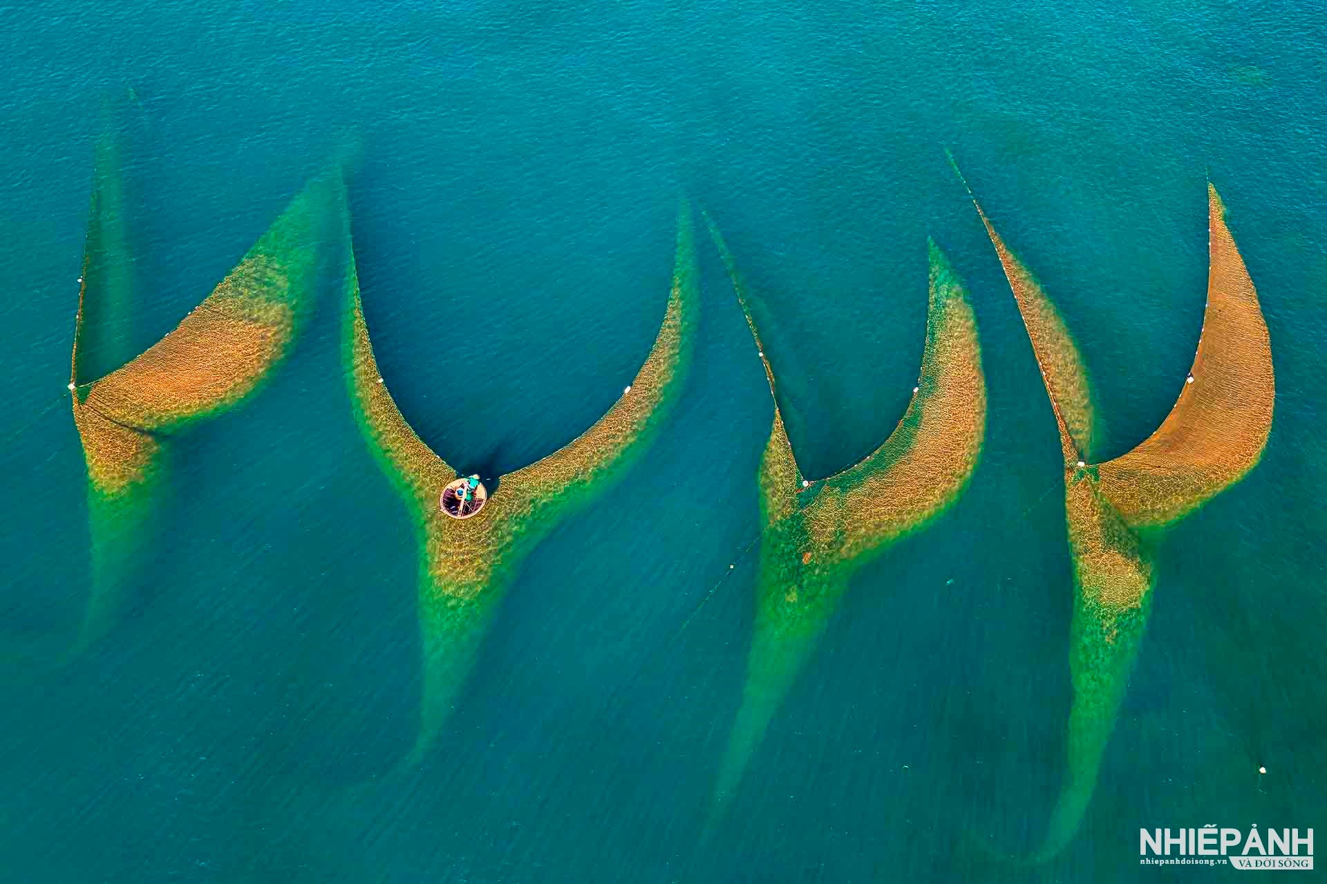 W_6-vn25-worldinfocus-vapa-bronze-green-sea-pham-quoc-dung-vietnam.jpg
