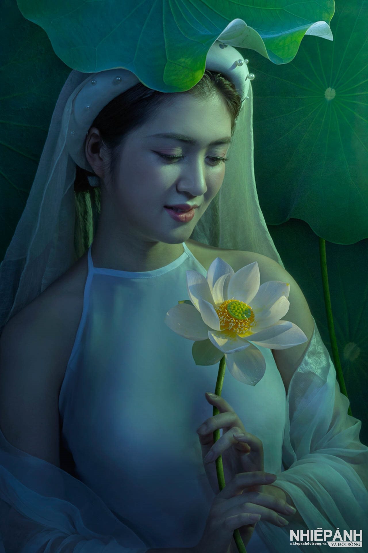 W_64-vn25-color-acceptance-huong-sen-le-duy-chinh-vietnam(1).jpg