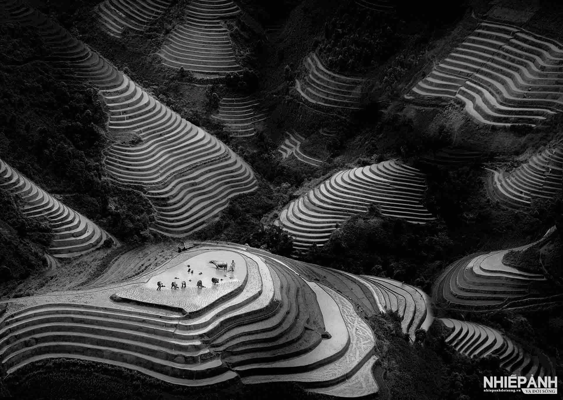 W_81-vn25-mono-acc-cay-nguyen-dang-hao-vietnam.jpg