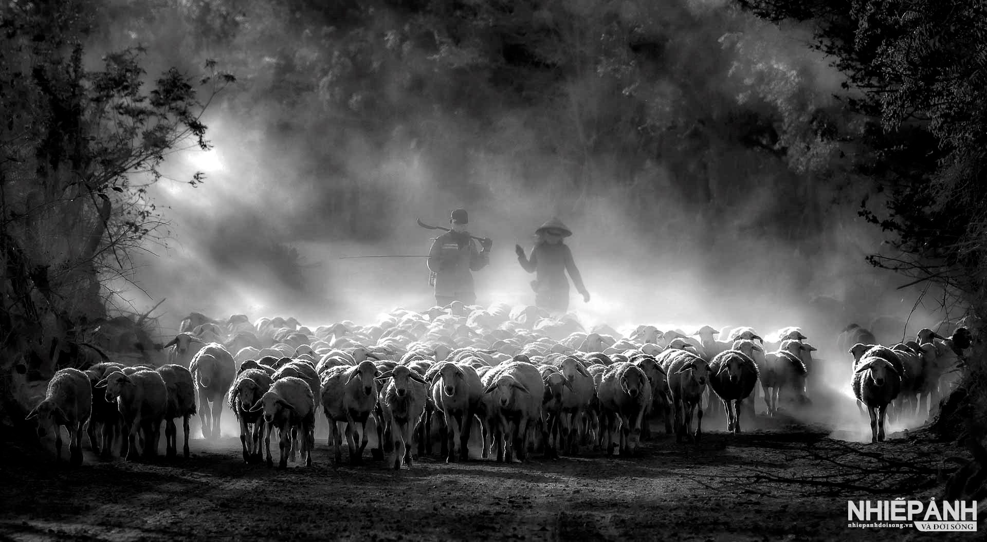 W_82-vn25-mono-acc-chan-cuu-nguyen-kim-hoan-vietnam.jpg