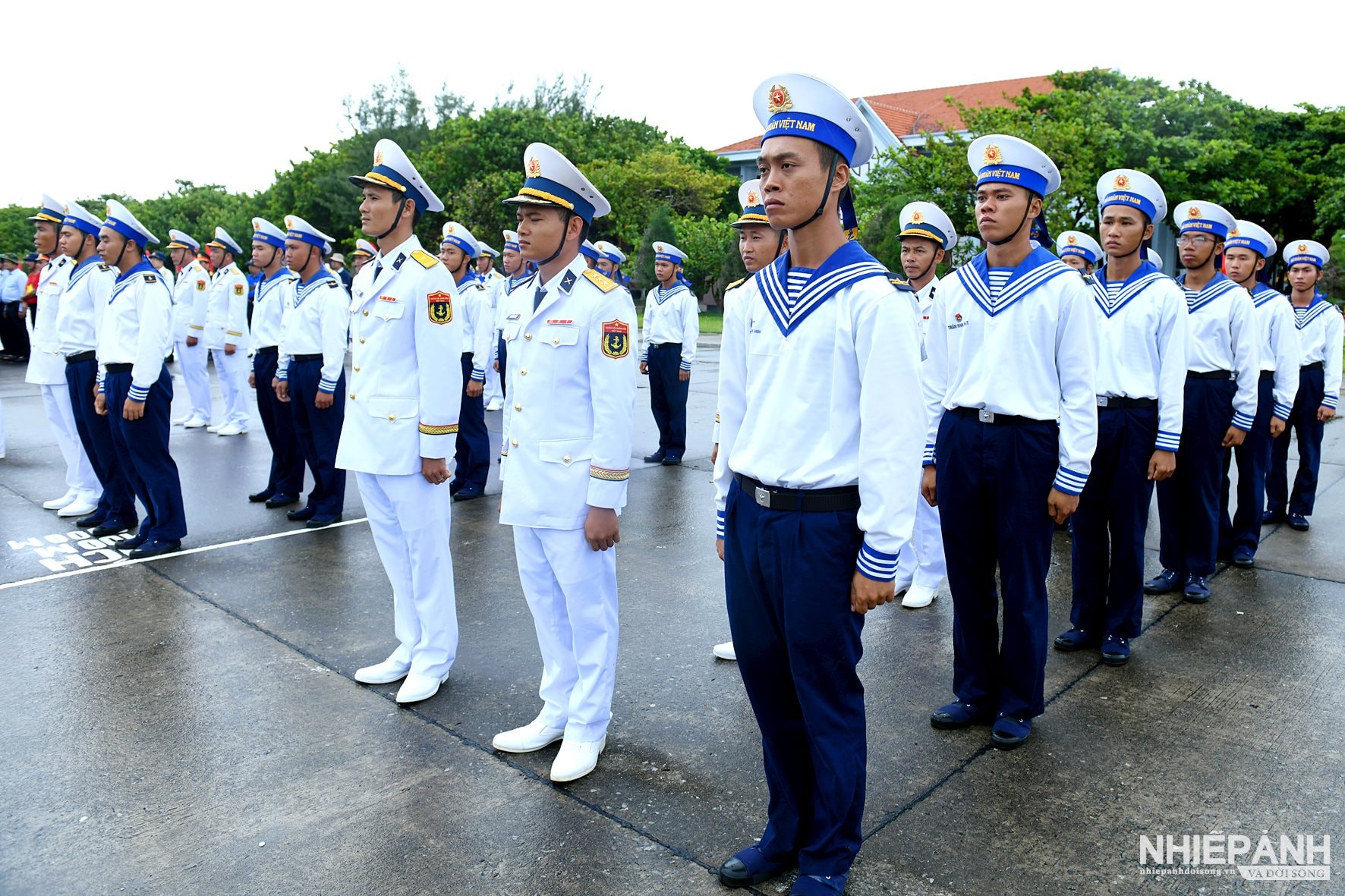 W_dsc_4372-copy.jpg