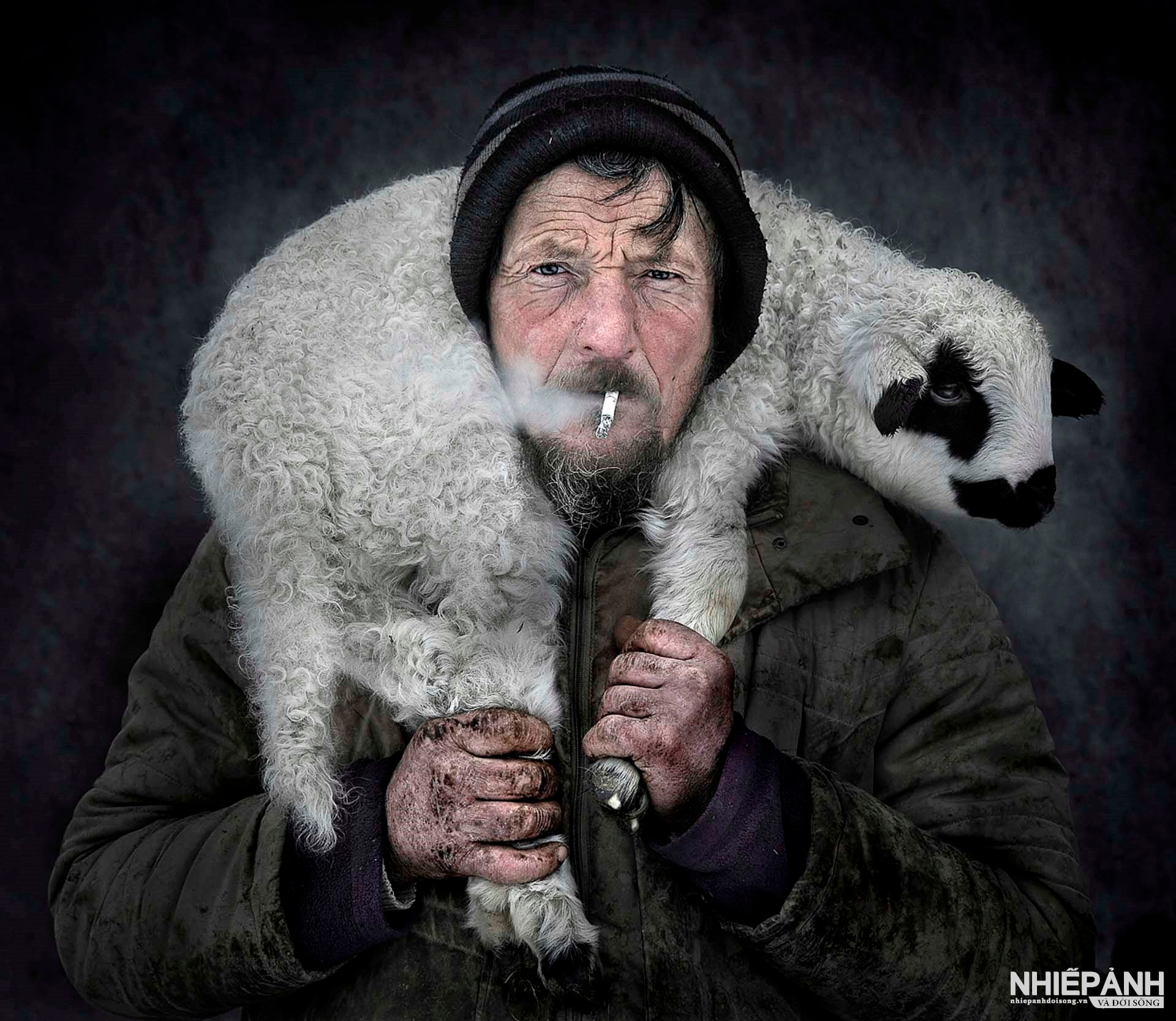 W_20-vn25-portrait-acc-life-with-lamb-kerekes-istvan-hungary.jpg