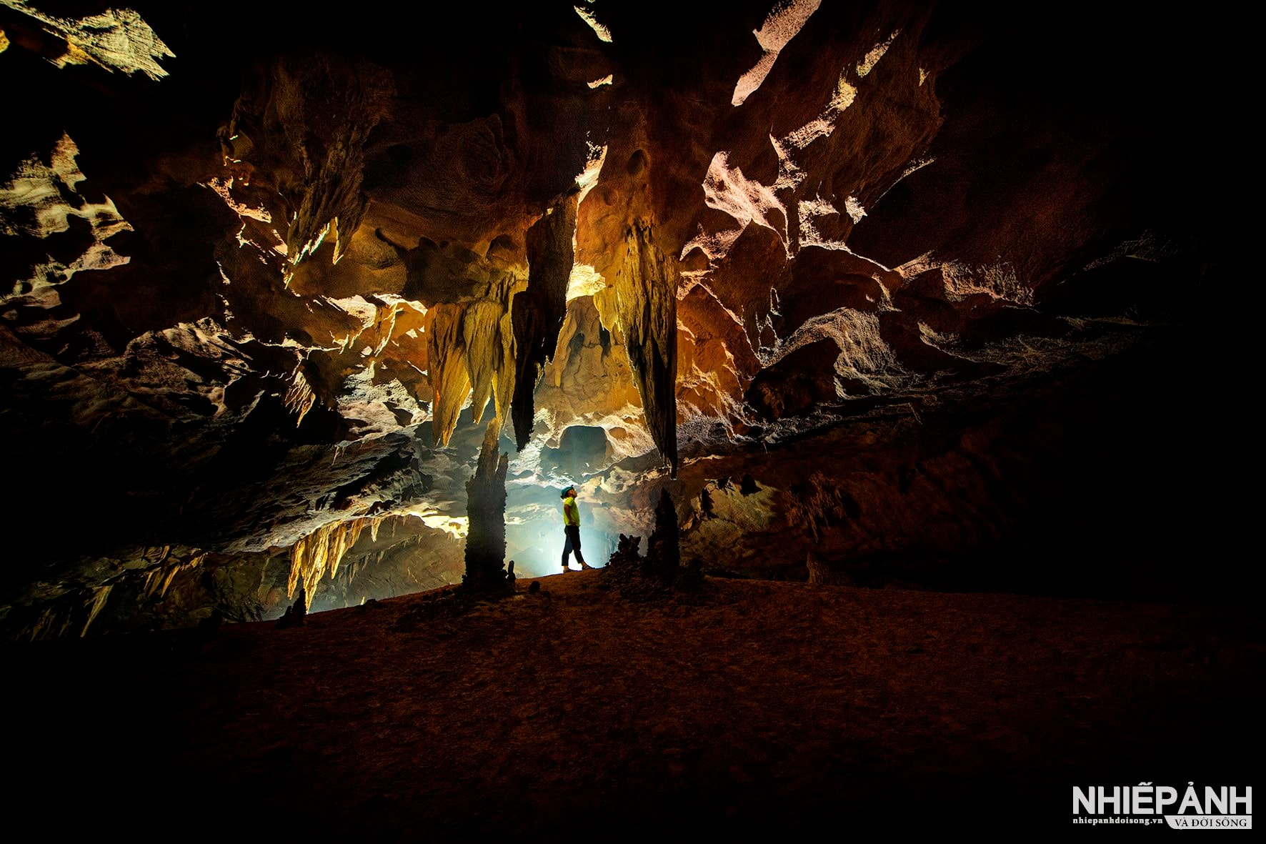 W_dong-phong-nha-copy.jpg