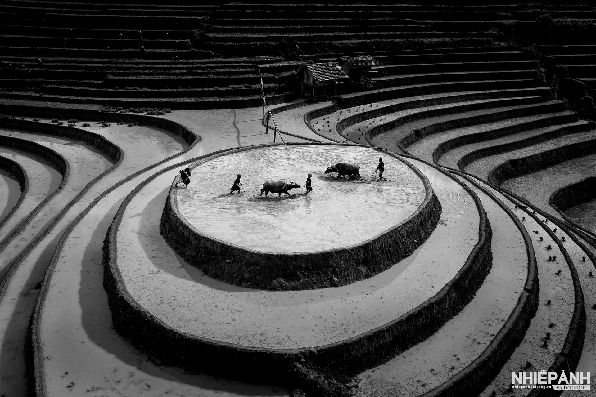 W_24-vn25-mono-acc-mam-xoi-mua-nuoc-do-tran-trung-hieu-vietnam_1.jpg