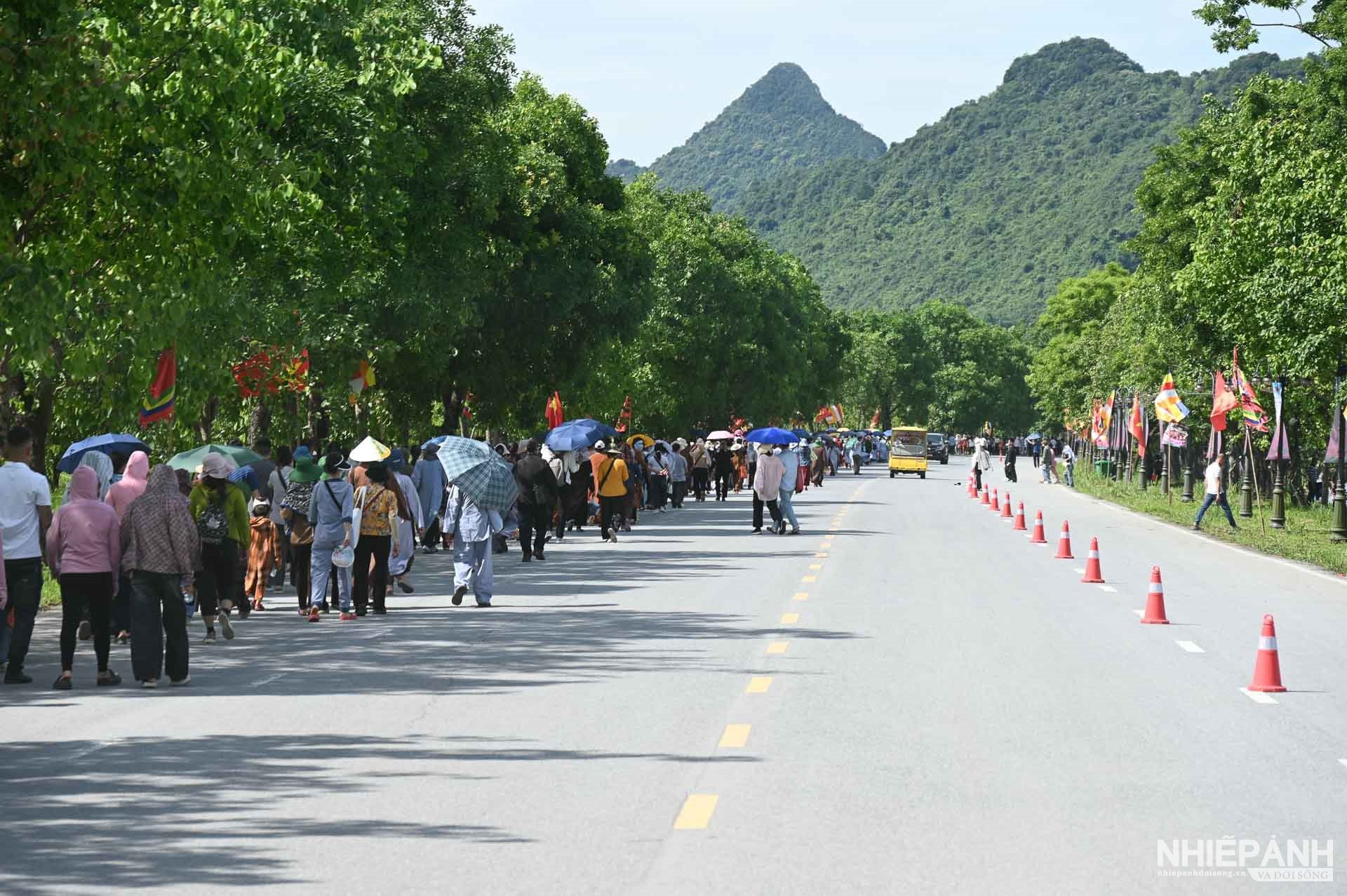 W_anh-2_1.jpg