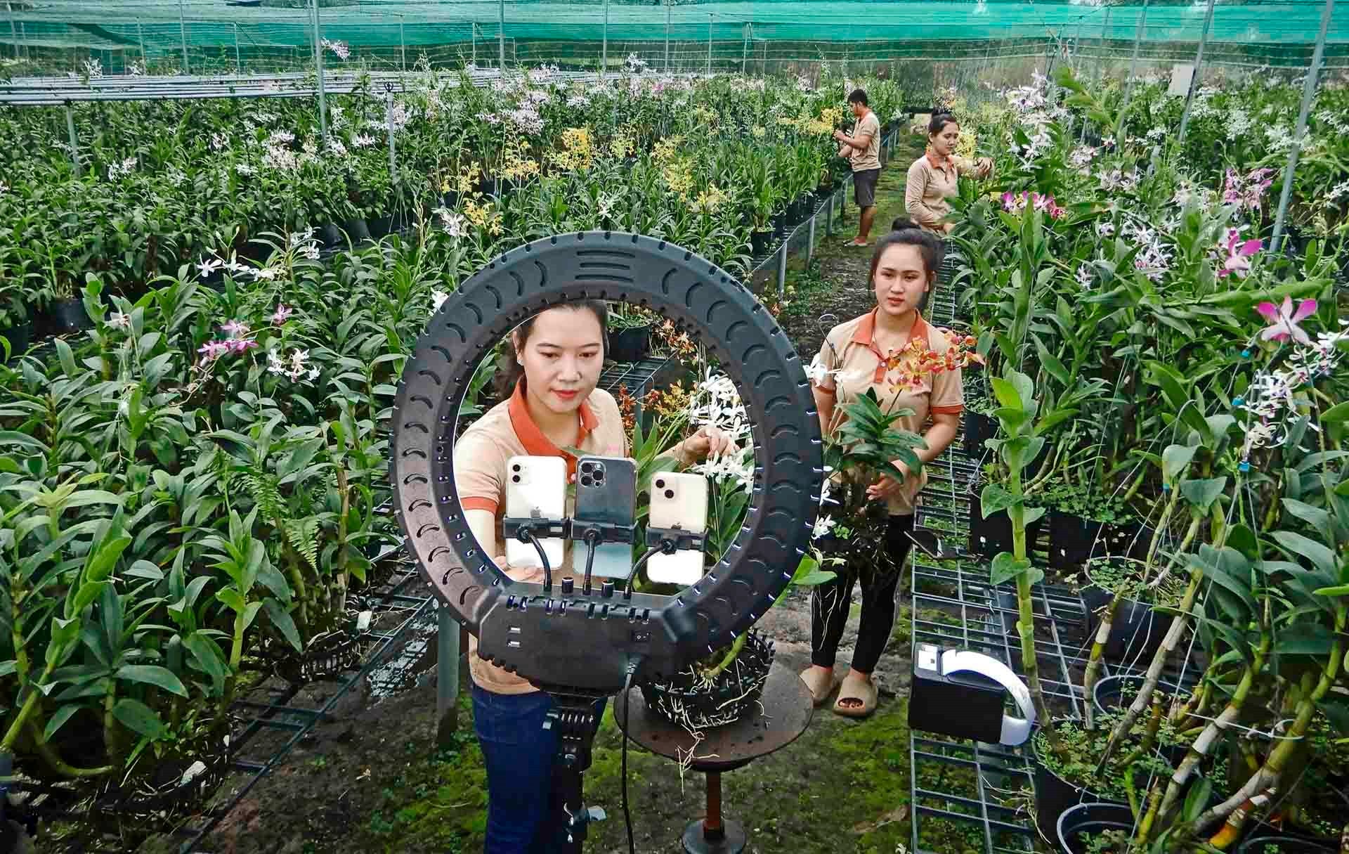 a-pham-minh-giang-ban-hang-online_1.jpg
