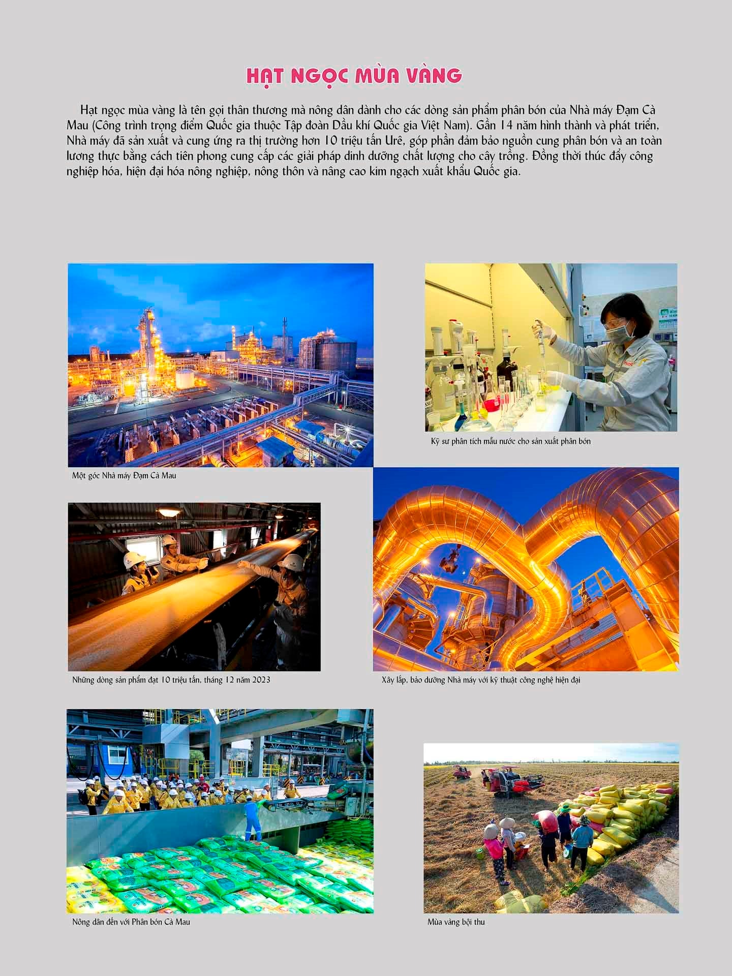 c-lam-hoang-thanh-liem-hat-ngoc-mua-vang.jpg