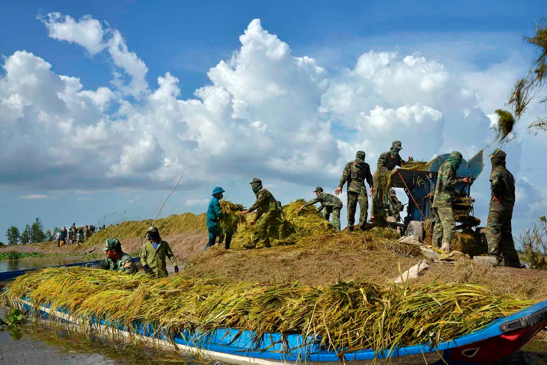 c-nguyen-huu-tuan-gat-lua-giup-dan.jpg