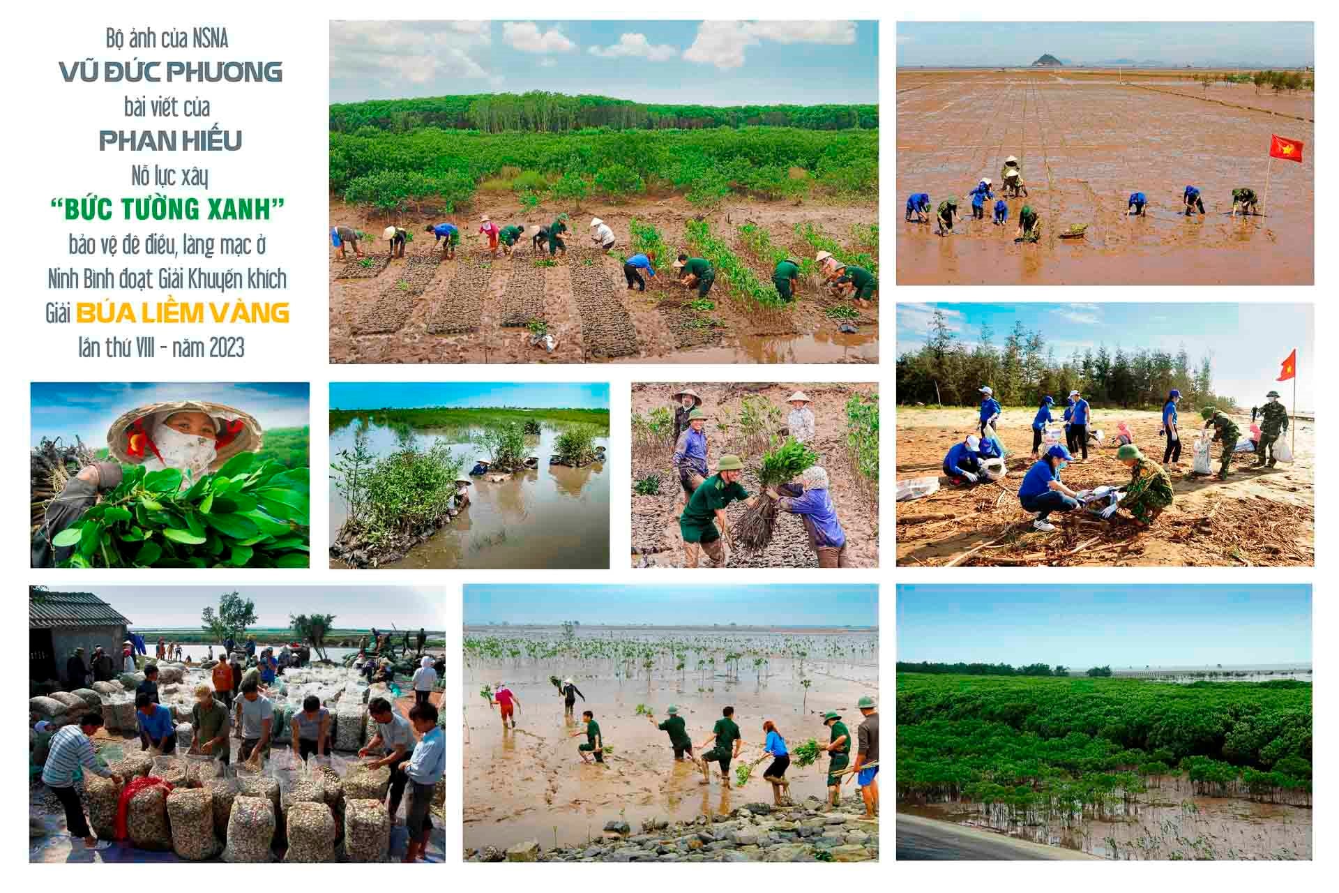 kk-vu-duc-phuong-no-luc-xay-dung-buc-tuong-xanh-bao-ve-de-dieu-lang-mac-o-ninh-binh.jpg