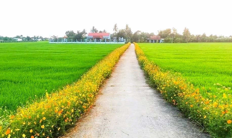 5.toan-tinh-co-319-xa-dat-chuan-nong-thon-moi-10-don-vi-cap-huyen-hoan-thanh-nhiem-vu-dat-chuan-nong-thon-moi.jpg