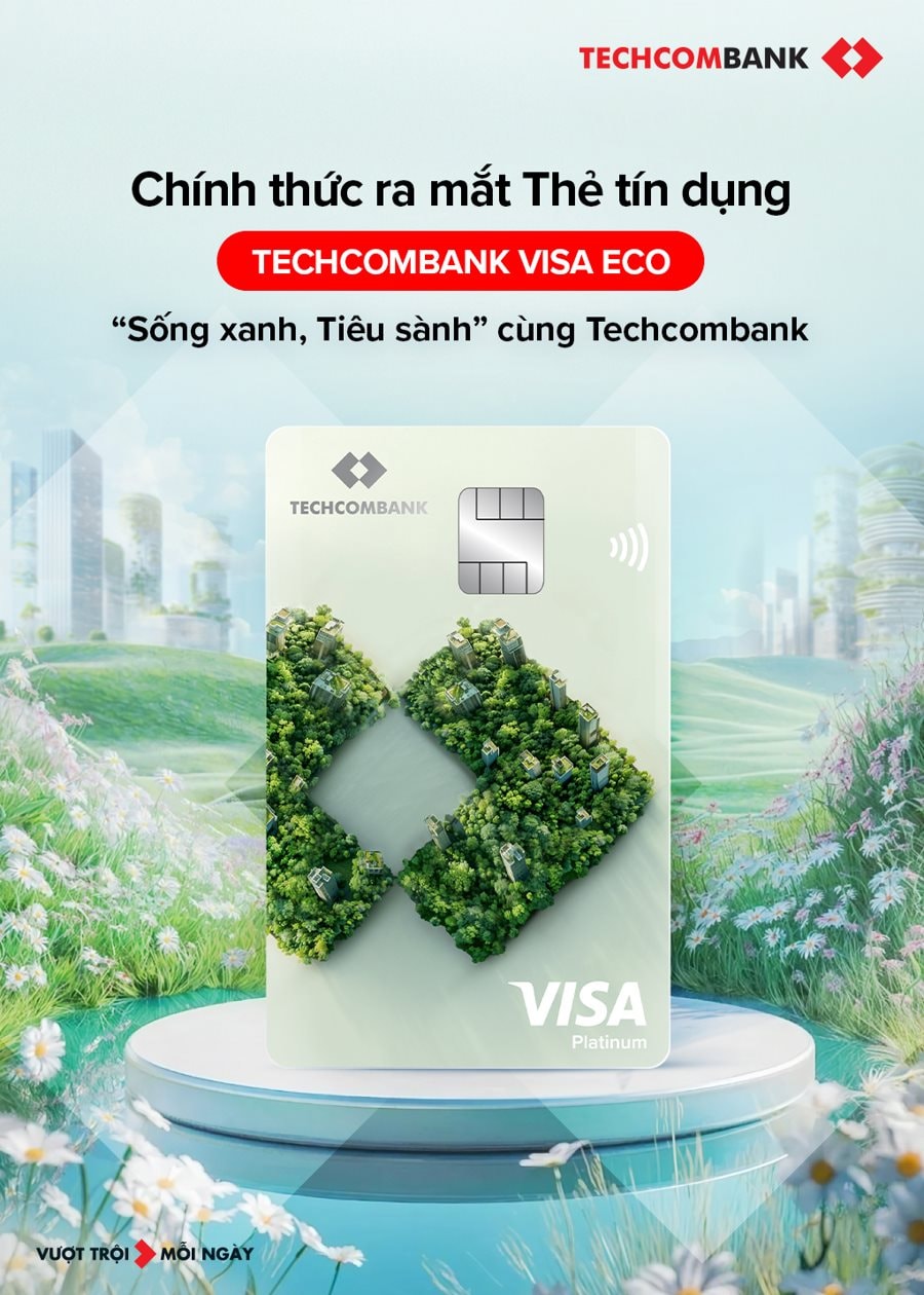 eco-opt3.jpg