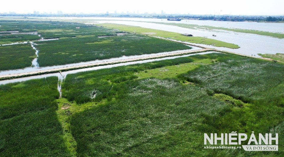 W_1.-dong-coi-xuan-giang.jpg