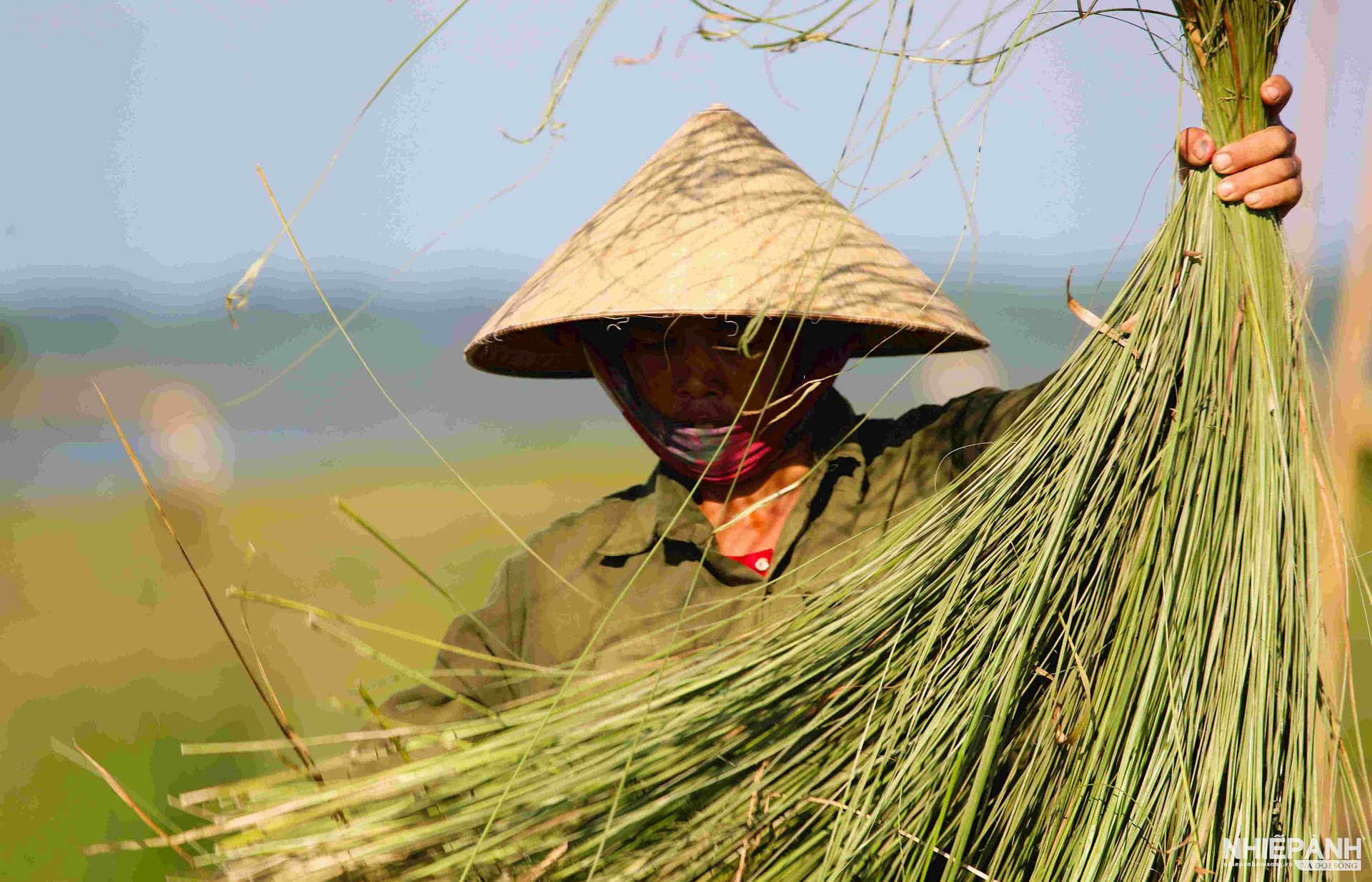 W_22.-coi-xuan-giang-duoc-nang-mau-sac-ong-dep.jpg