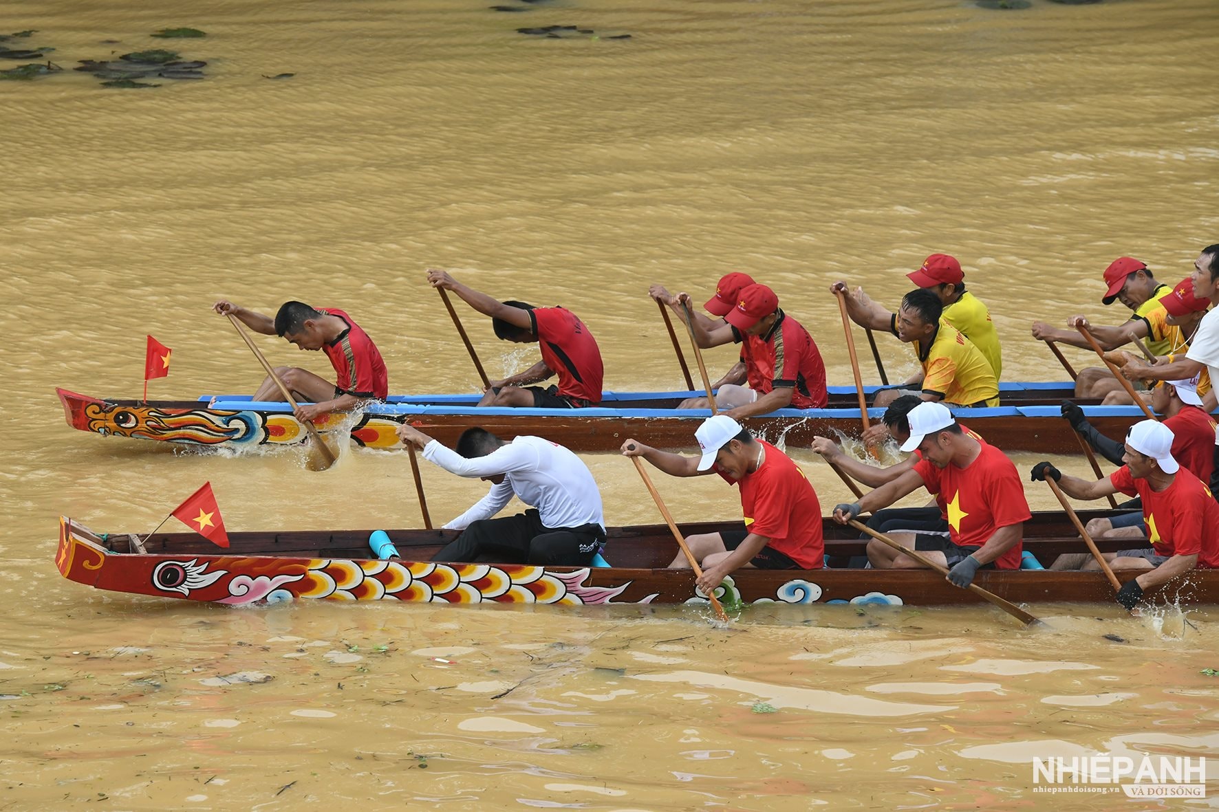 W_dsc_1802-copy.jpg