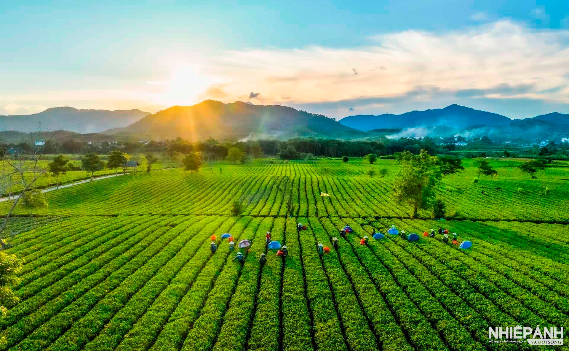 W_16-tbtl-nguyen-thanh-hai-ha-tinh-che-son-kim.jpg