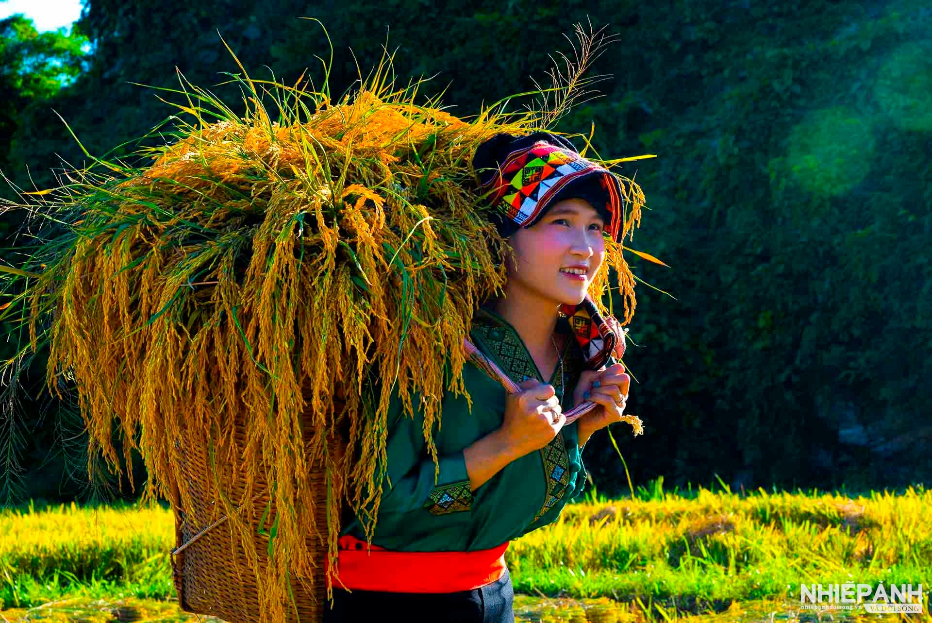 W_27-tbtl-nguyen-anh-dung-nghe-an-gui-lua-ve-ban-em.jpg