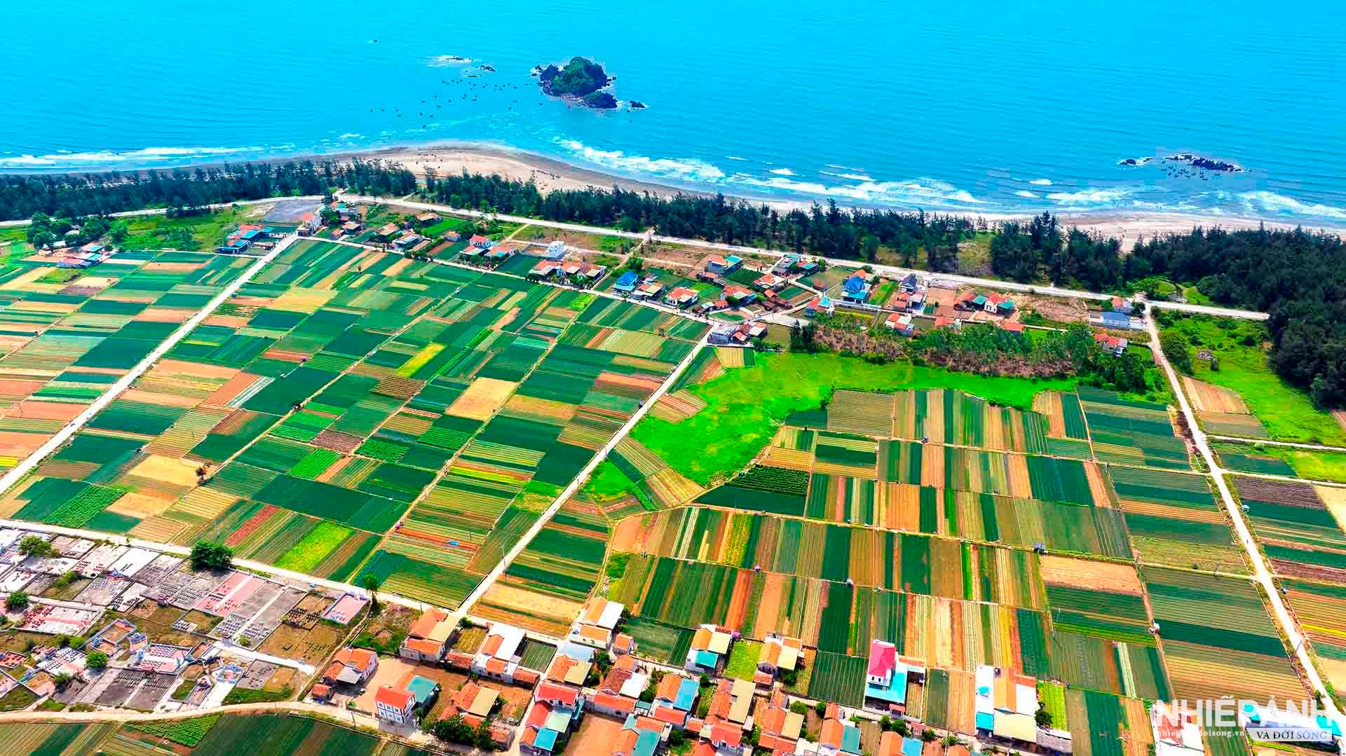 W_36-tbtl-tran-duy-ngoan-nghe-an-lang-rau-xu-bien-quynh-luong.jpg