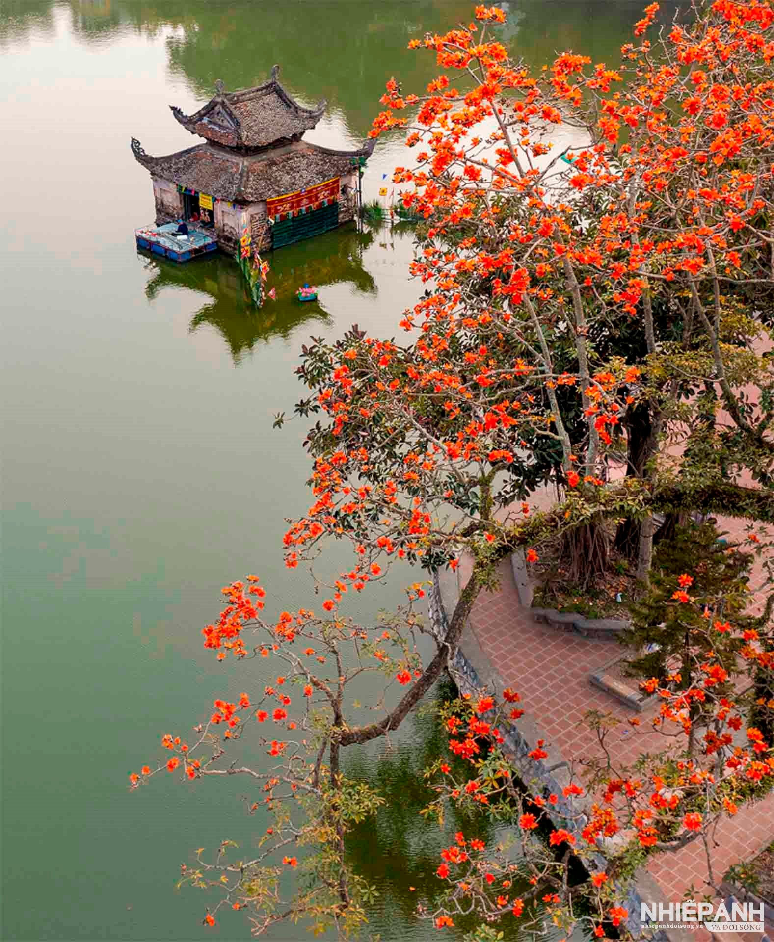 W_16-tbtl-dao-kim-thanh-cua-thay-mua-hoa-gao.jpg