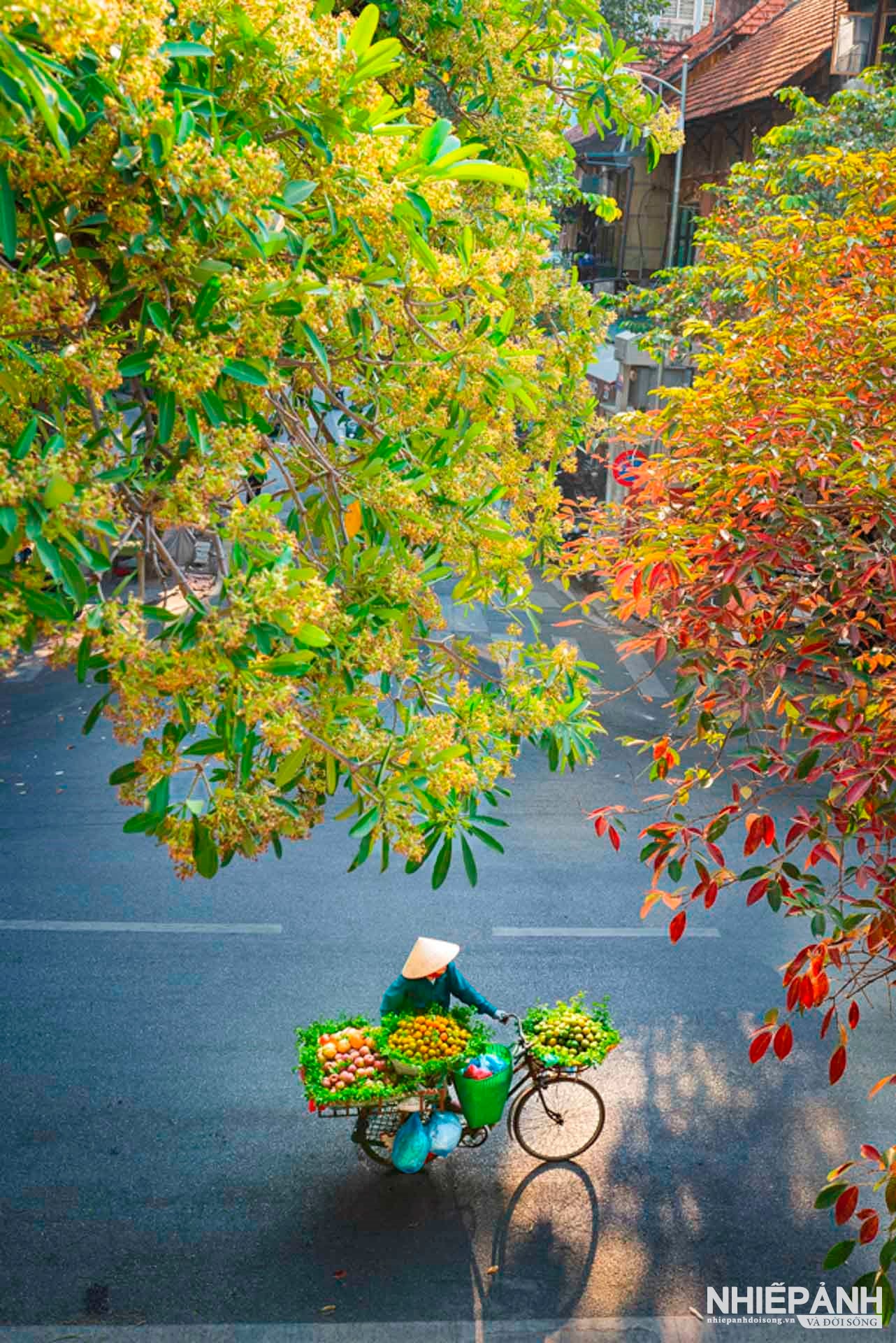 W_22-tbtl-duong-thanh-long-mua-thu-ha-noi.jpg