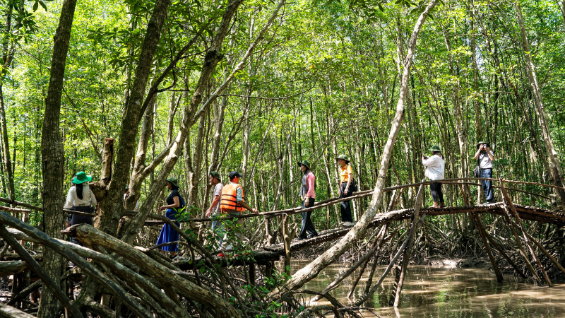 thiet-ke-chua-co-ten8.png