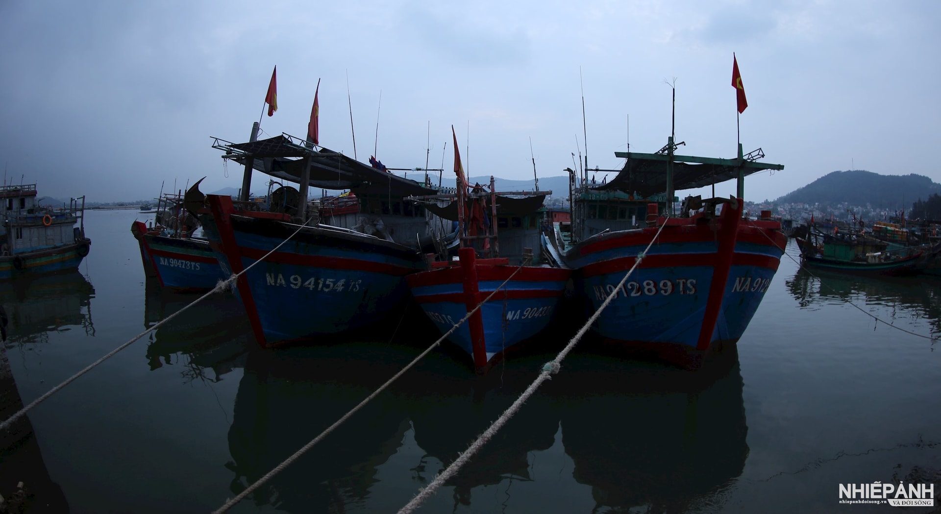 W_img_2481.jpg
