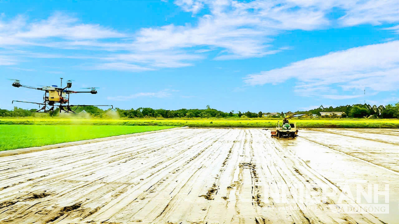 Đẩy mạnh cơ giới hóa trong sản xuất lúa chất lượng cao