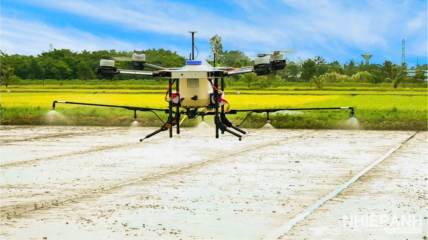 W_thiet-ke-chua-co-ten2.png