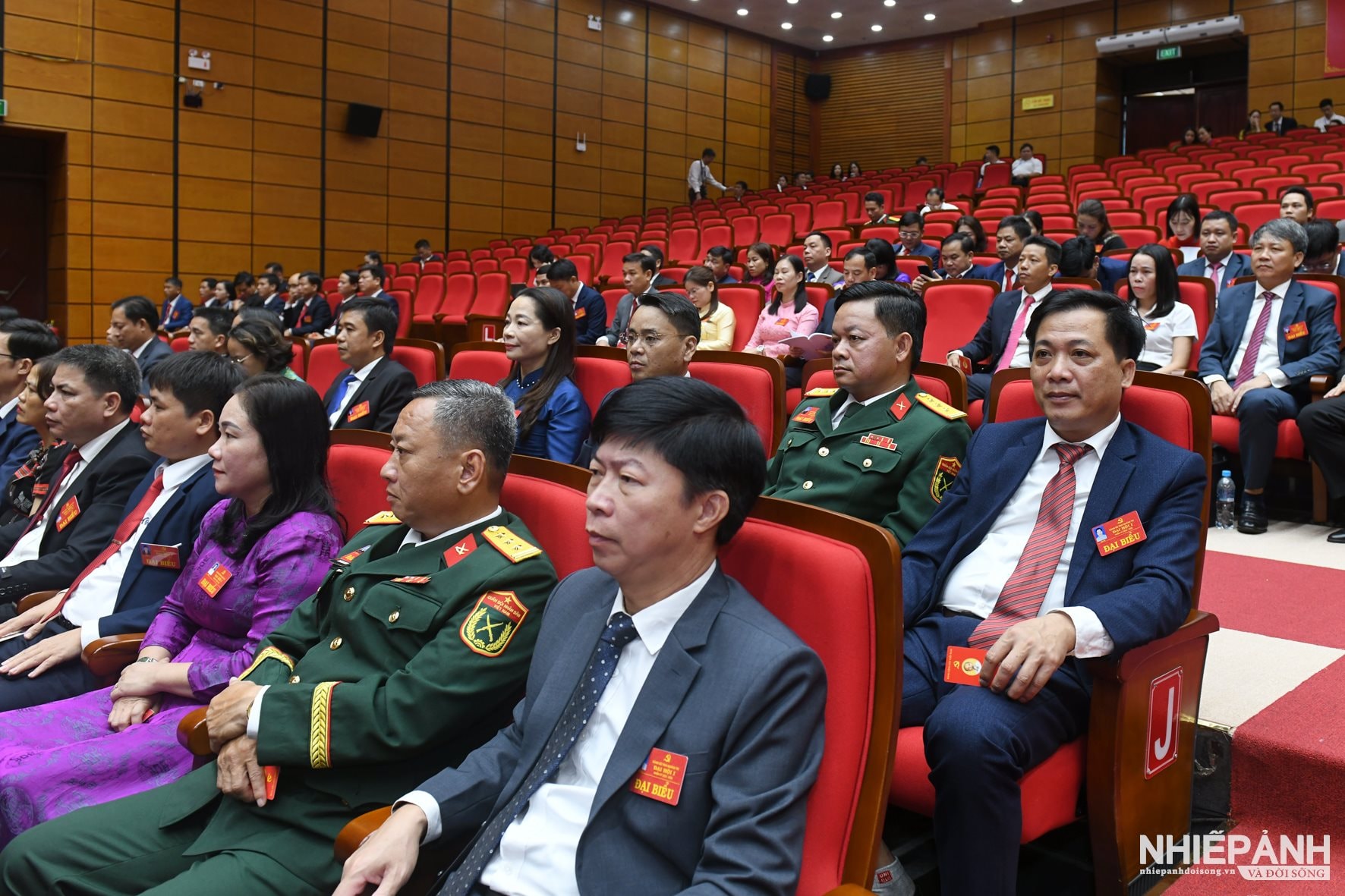 W_dsc_3703-copy.jpg