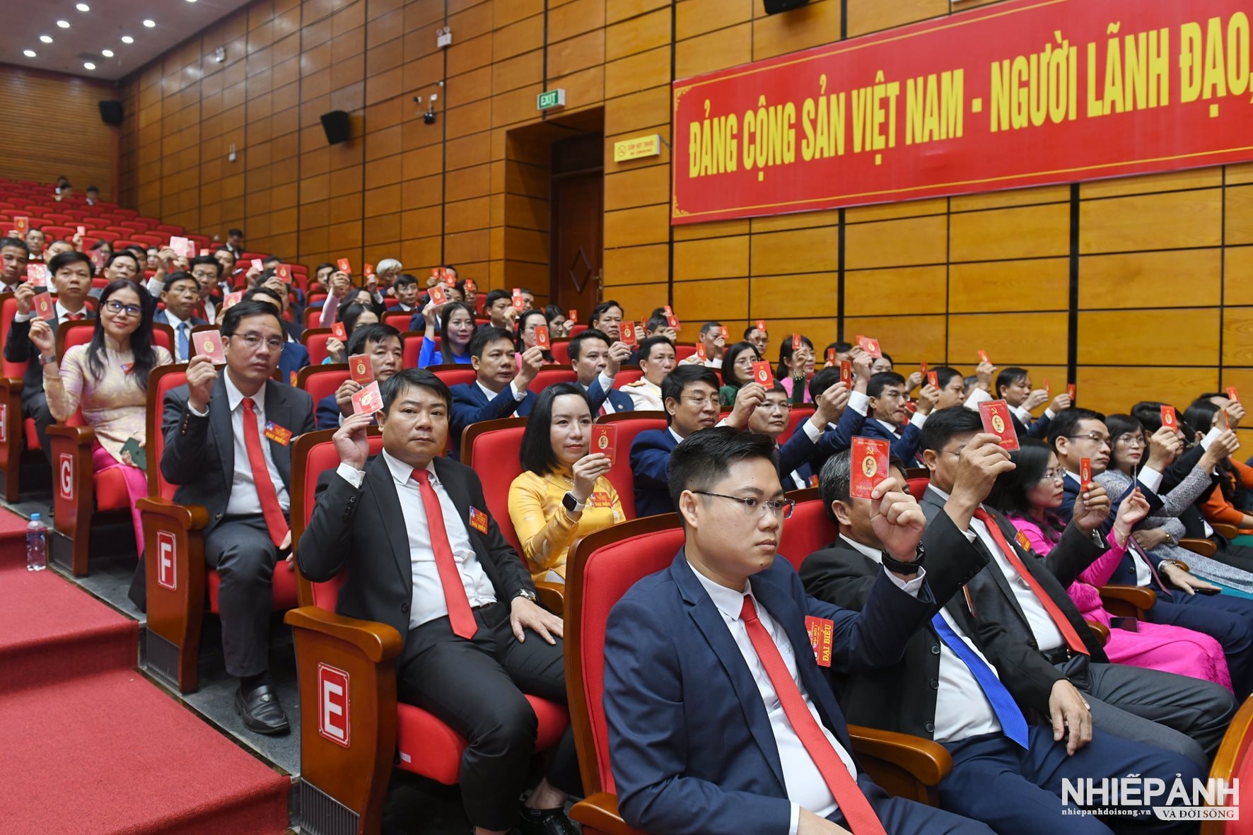 W_dsc_3711-copy.jpg
