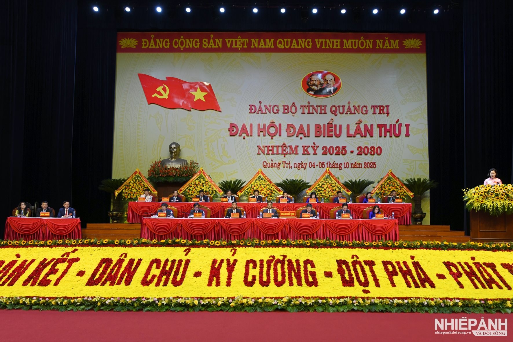 W_dsc_3731-copy.jpg