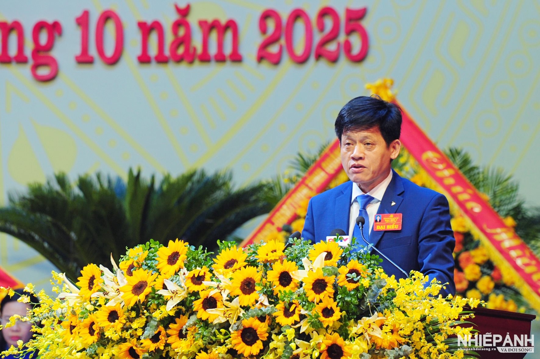 W_ha2_2878-copy.jpg