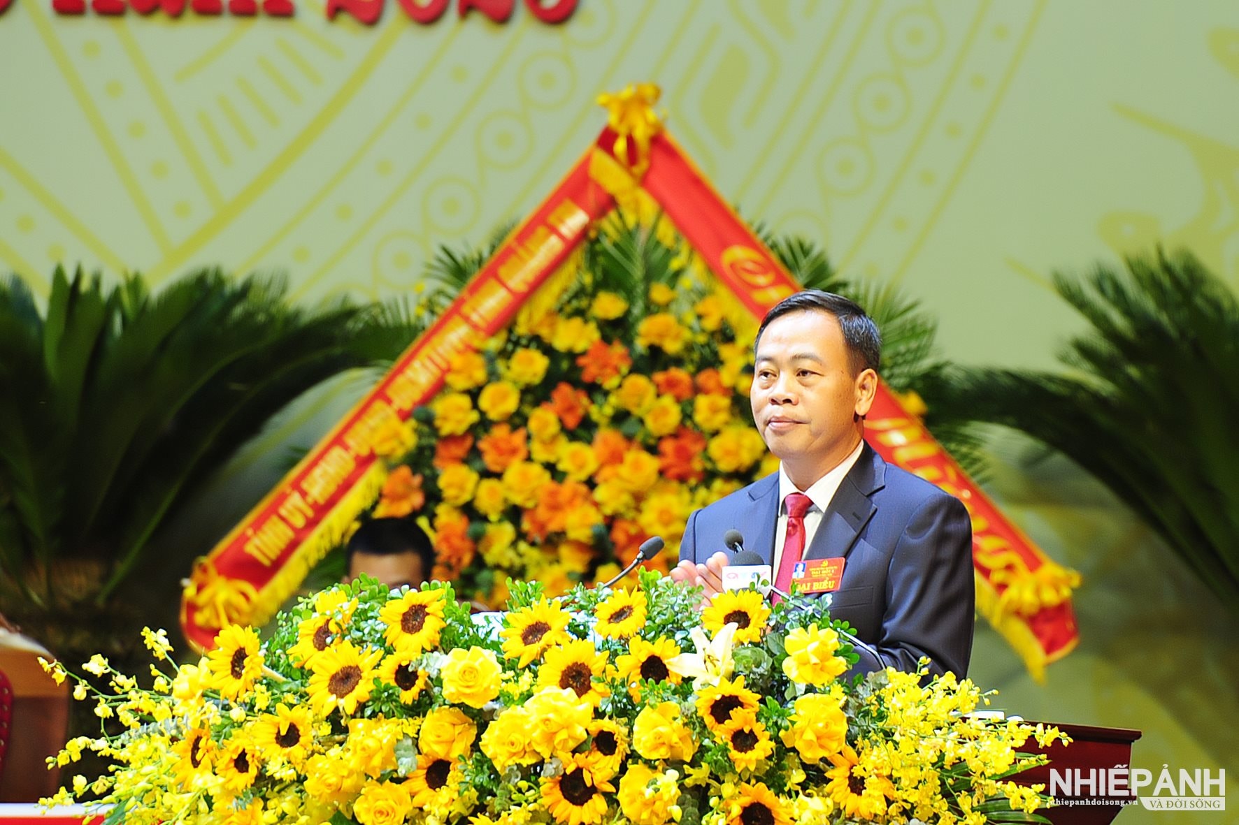 W_ha2_2915-copy.jpg