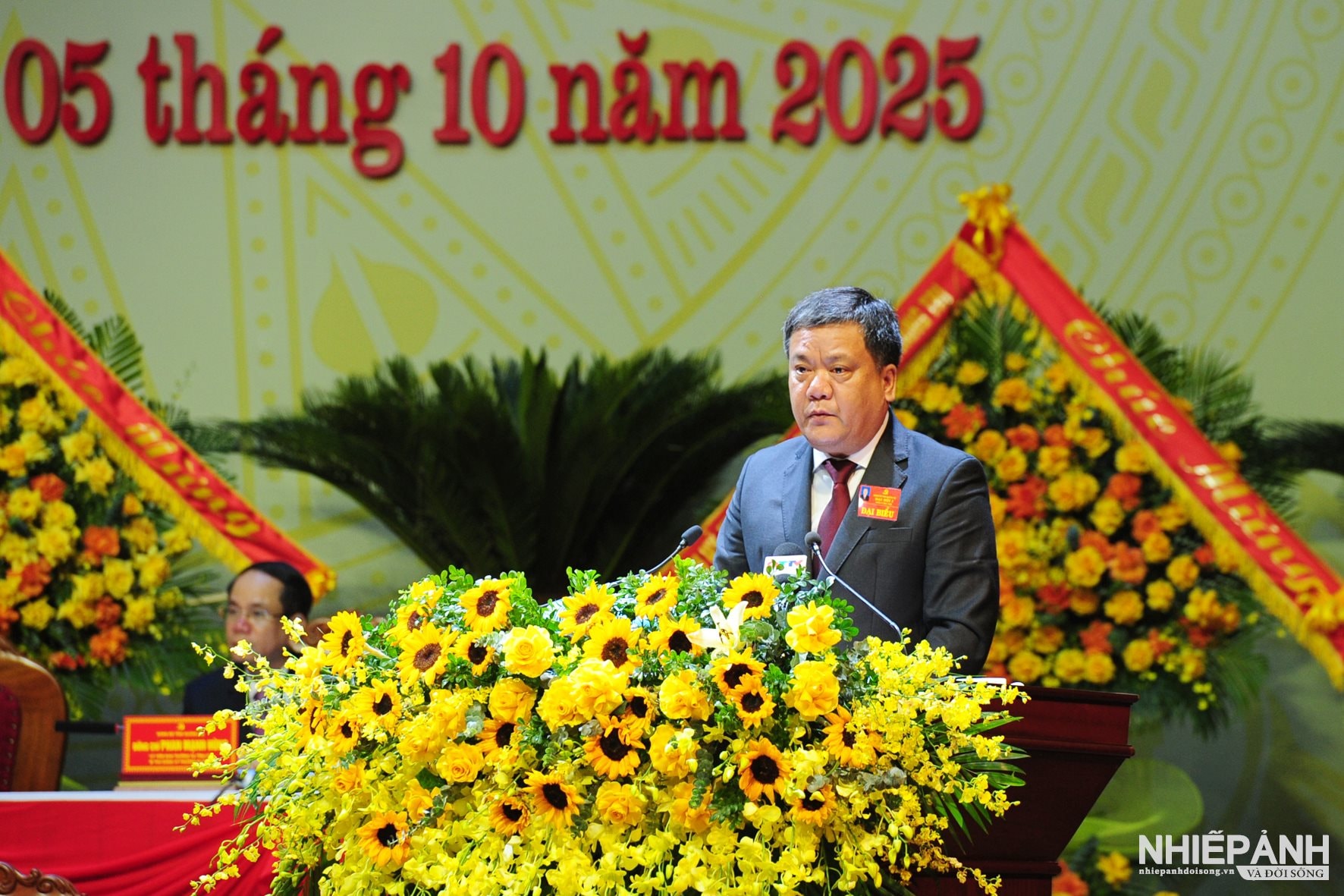 W_ha2_2980-copy.jpg