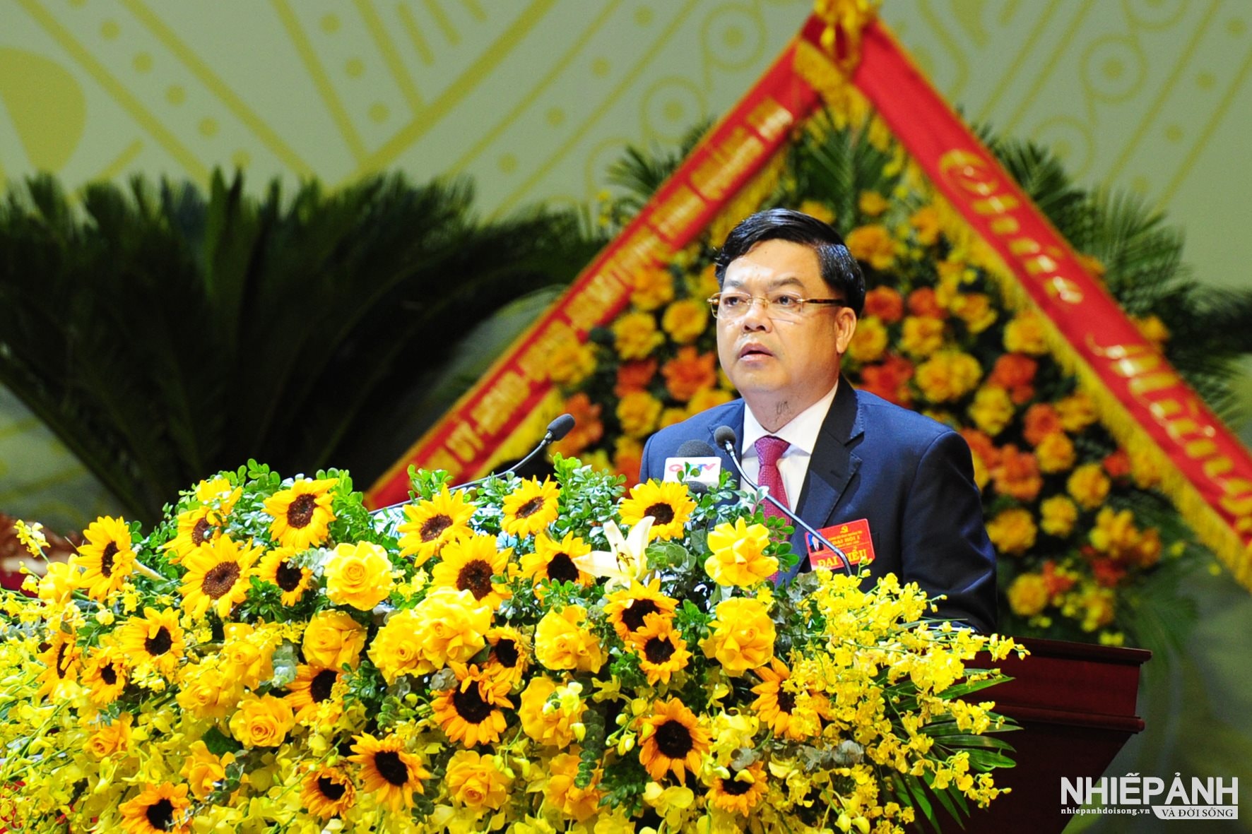 W_ha2_2986-copy.jpg