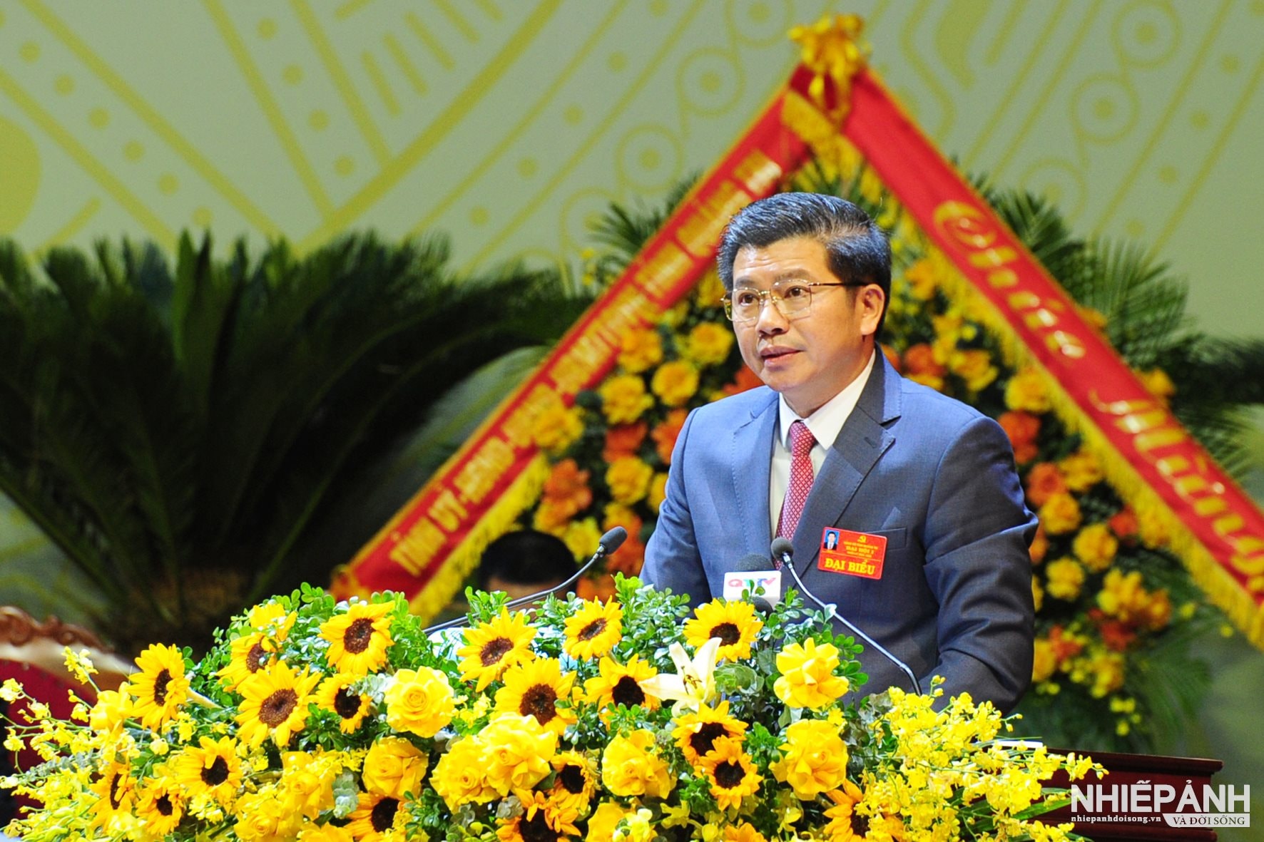 W_ha2_3000-copy.jpg