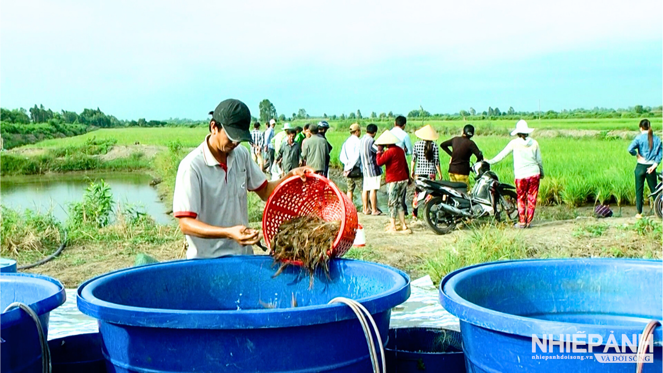 W_thiet-ke-chua-co-ten2.png