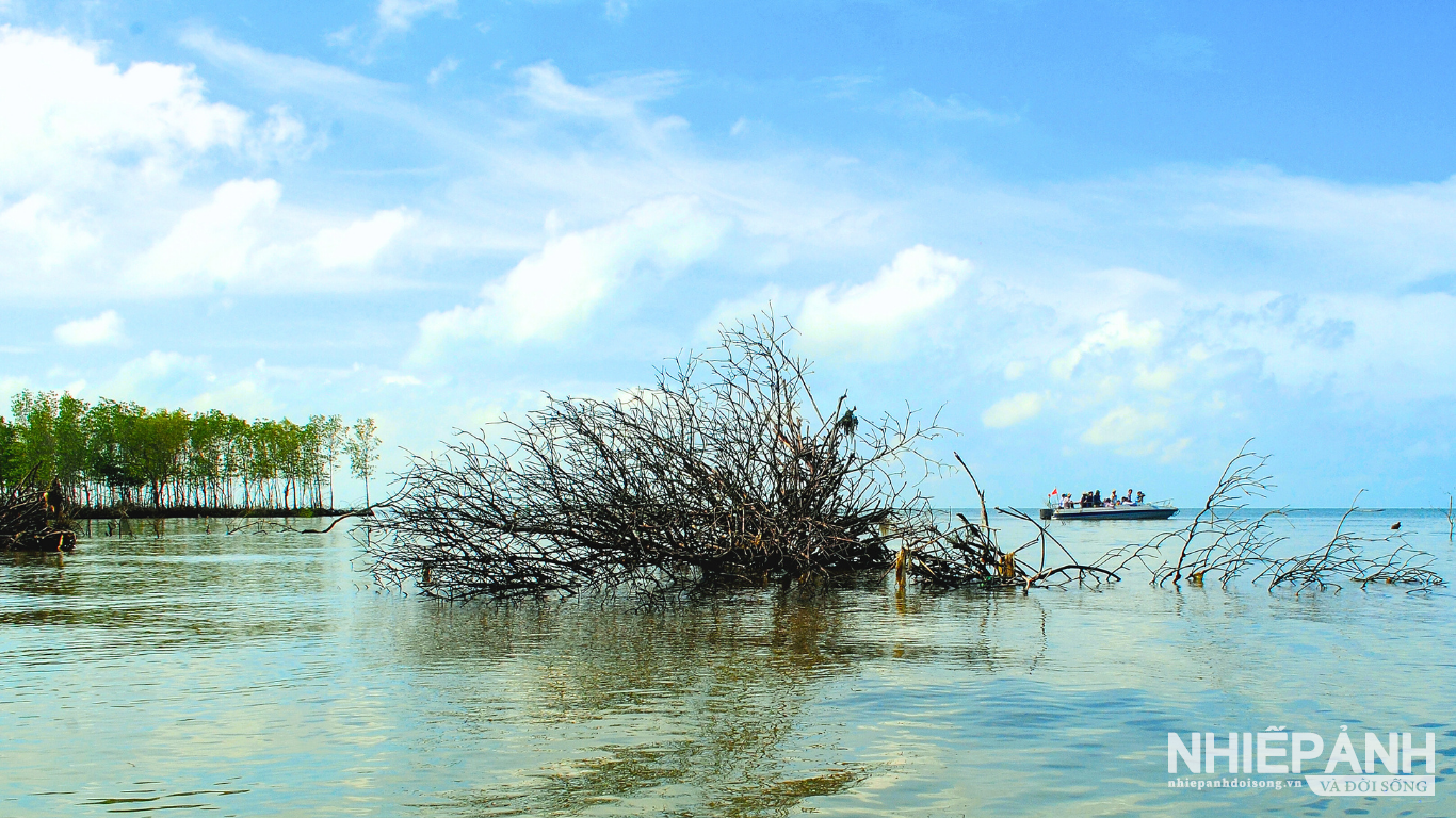 W_thiet-ke-chua-co-ten1.png