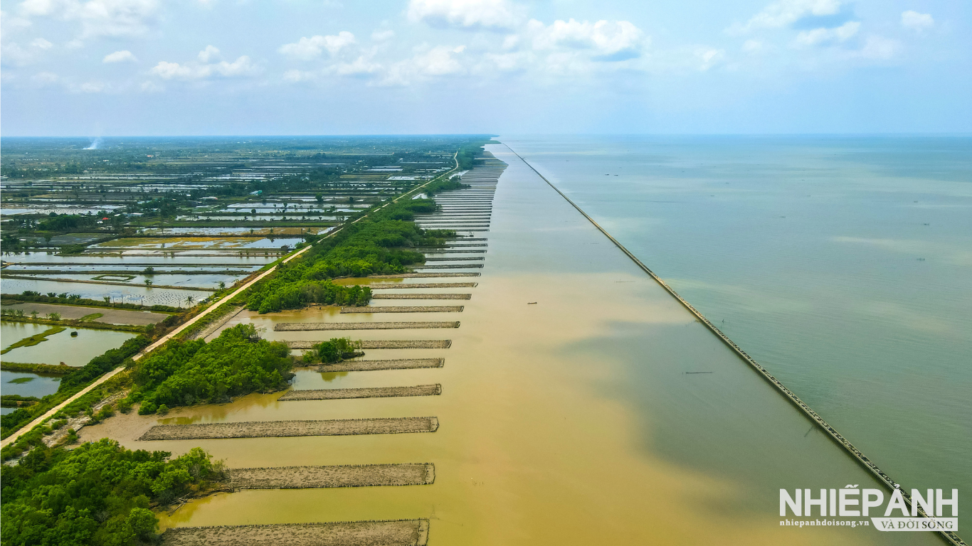 Cà Mau nỗ lực giữ rừng phòng hộ ven biển