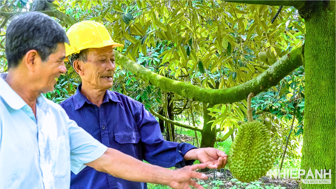 W_thiet-ke-chua-co-ten1.png