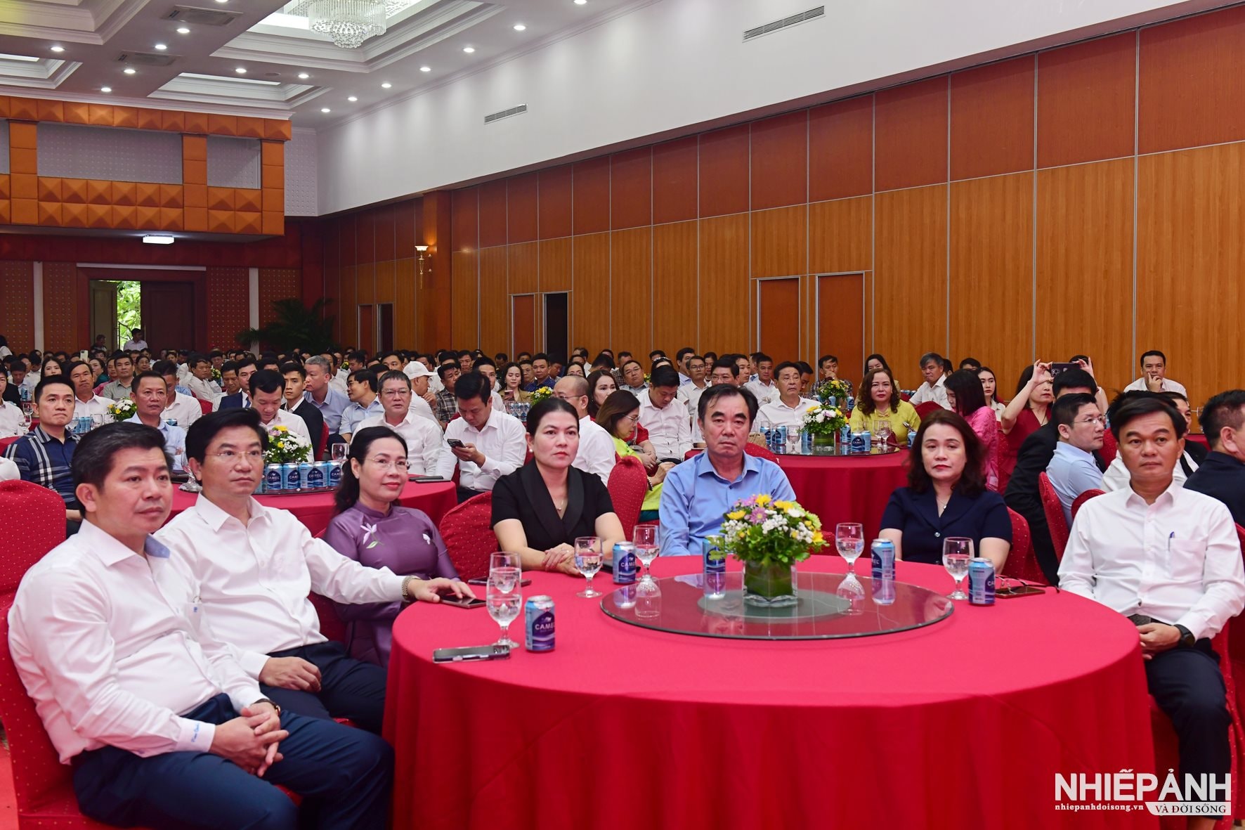 W_dsc_5451-copy.jpg