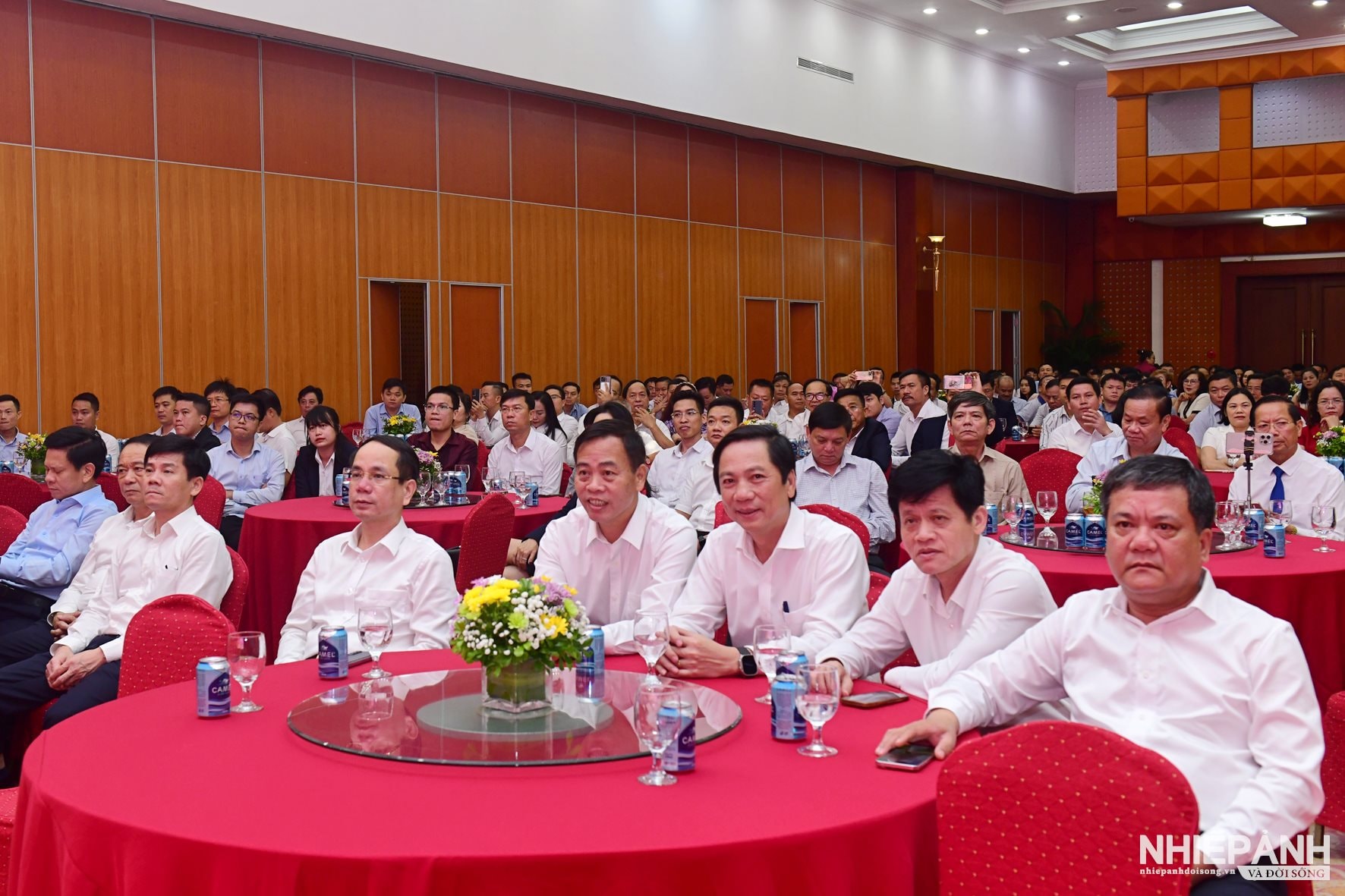 W_dsc_5454-copy.jpg