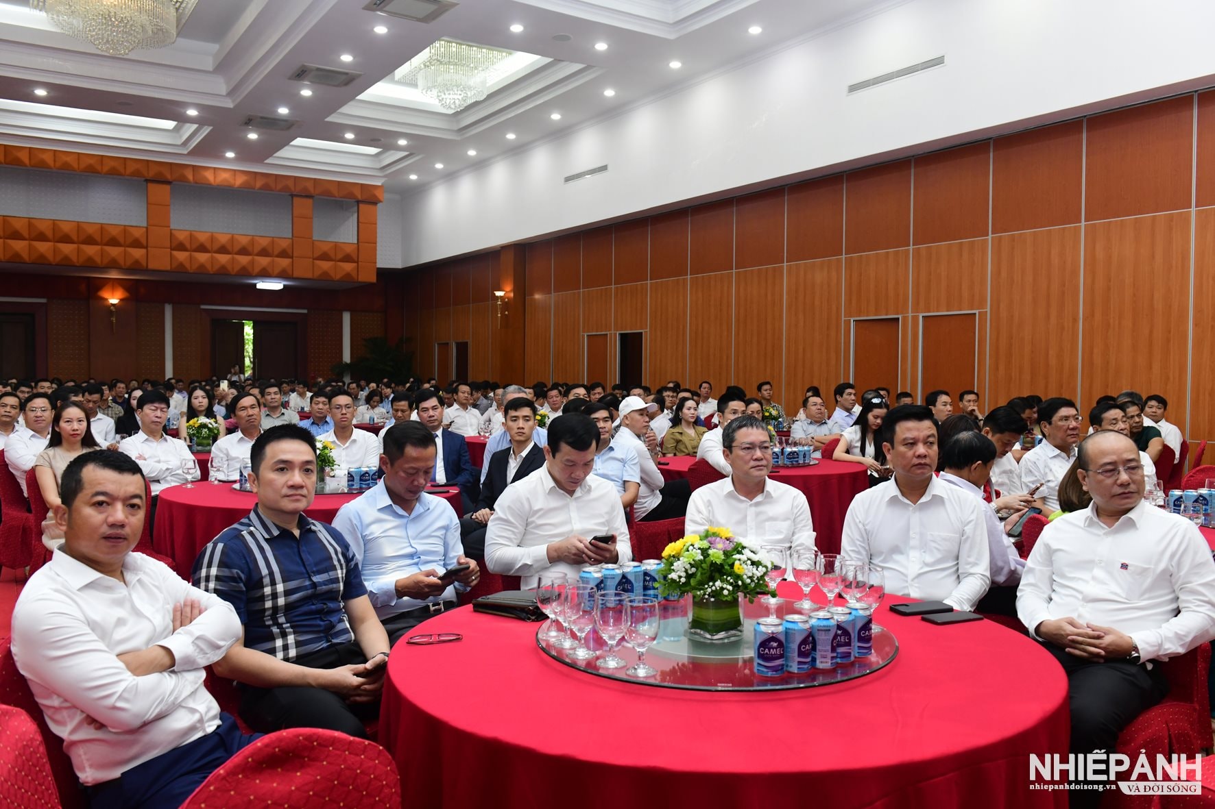 W_dsc_5462-copy.jpg