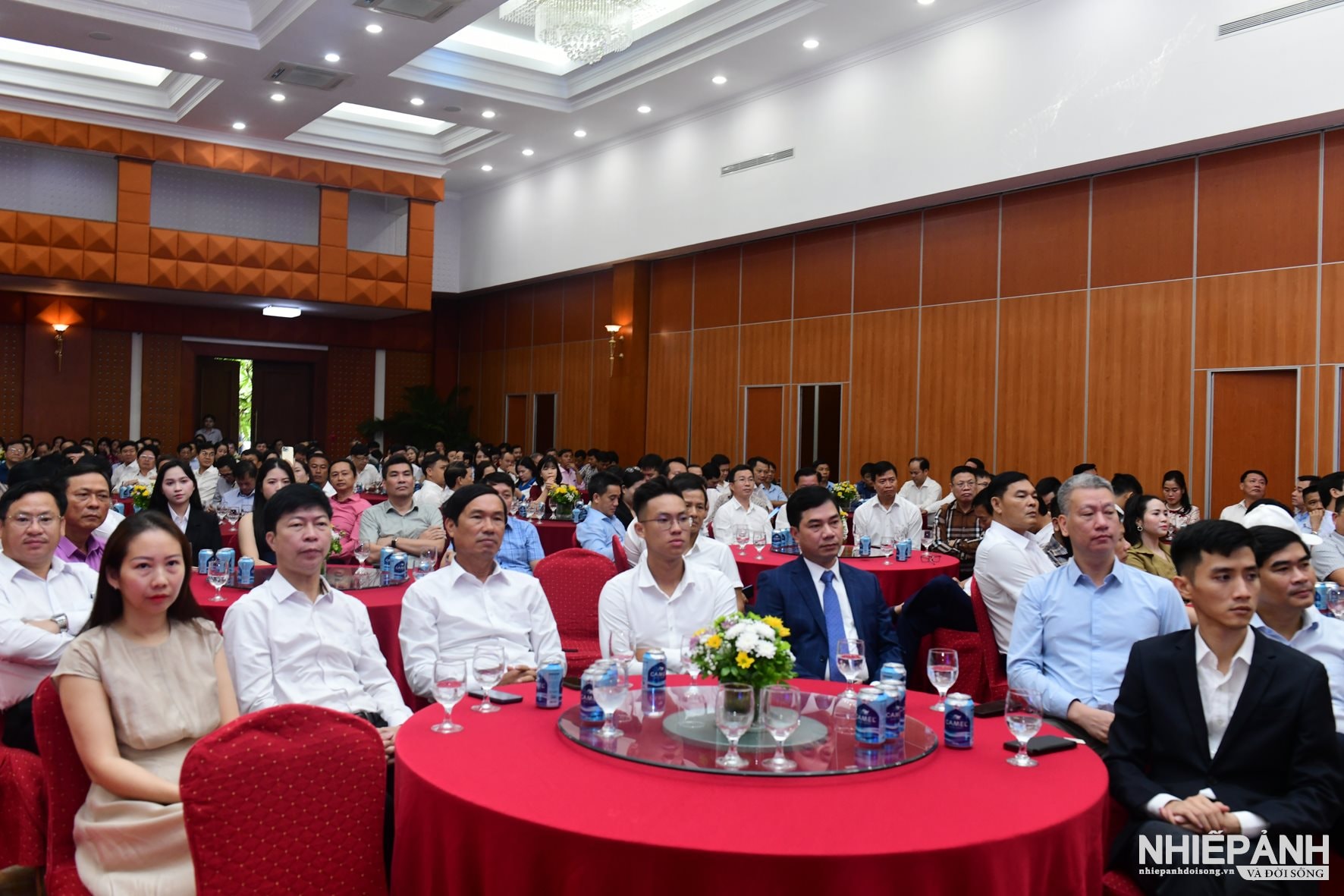 W_dsc_5466-copy.jpg