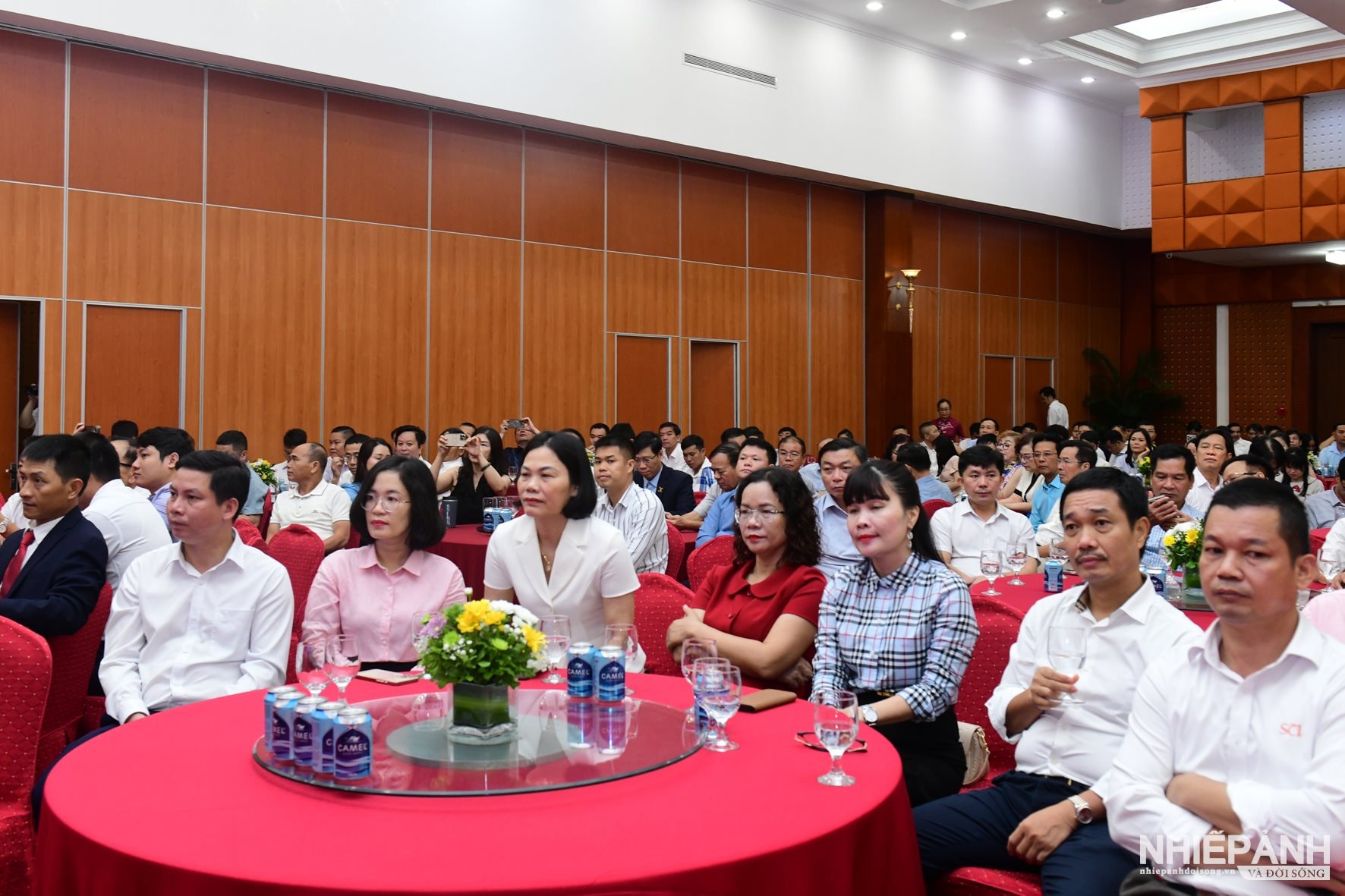 W_dsc_5467-copy.jpg