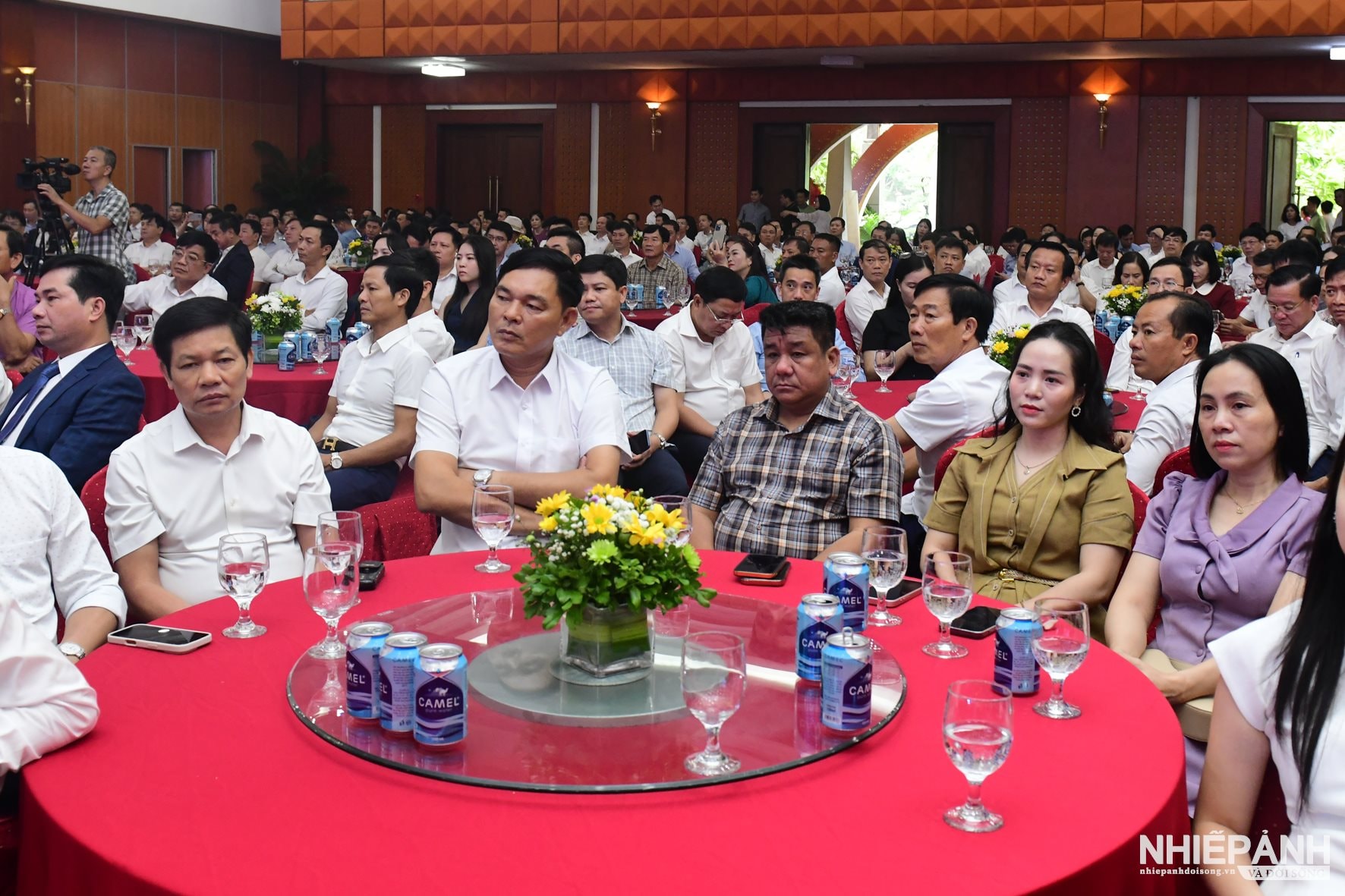 W_dsc_5519-copy.jpg