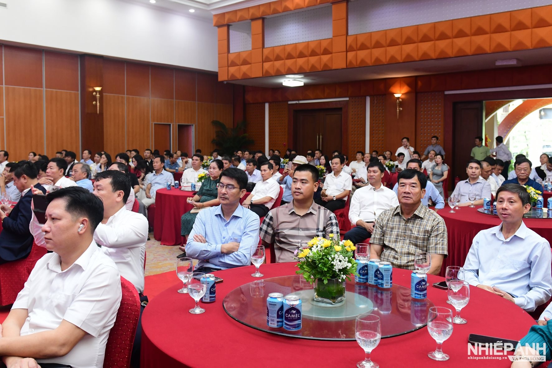 W_dsc_5526-copy.jpg